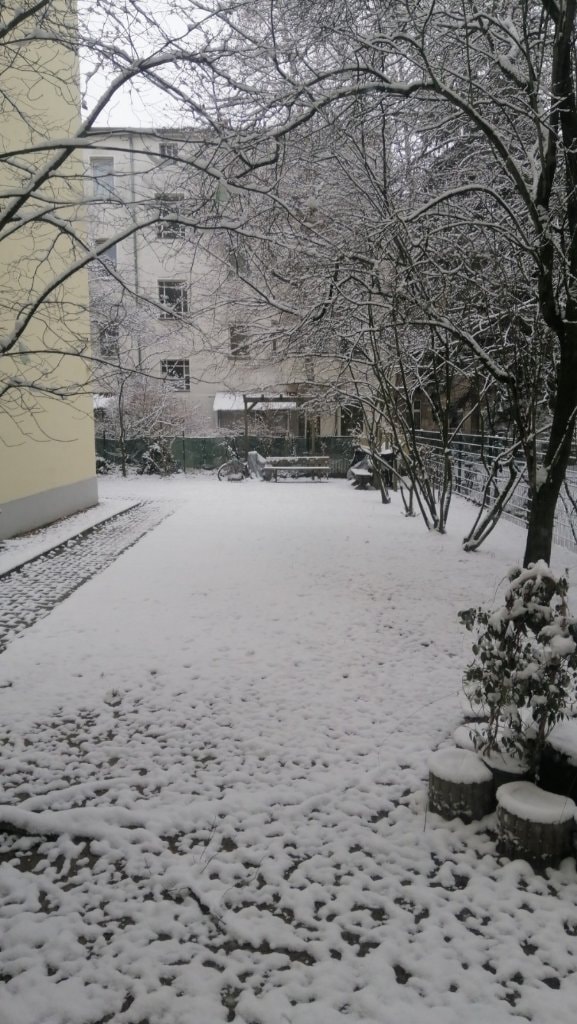 image-18