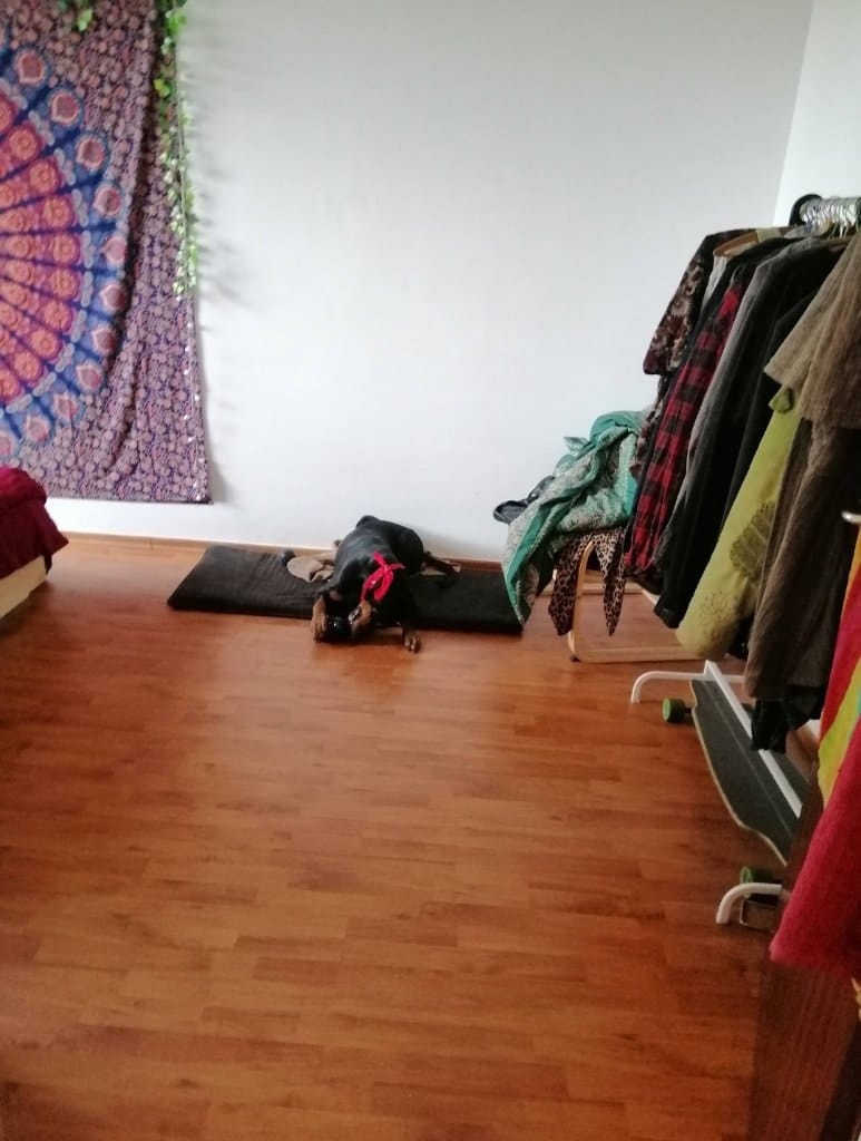 image-20