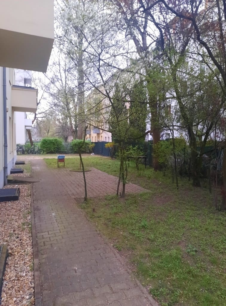 image-25
