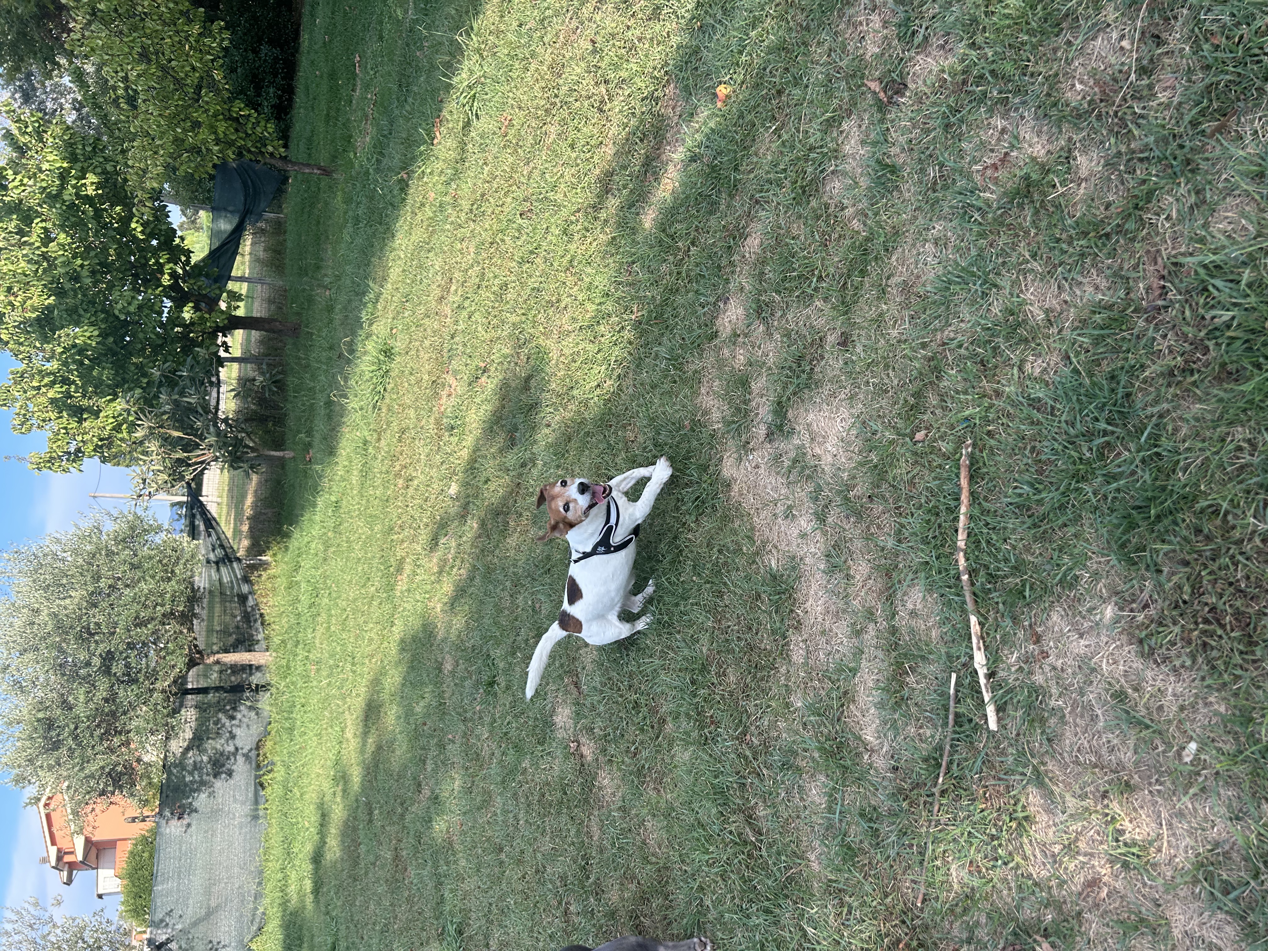 image-12