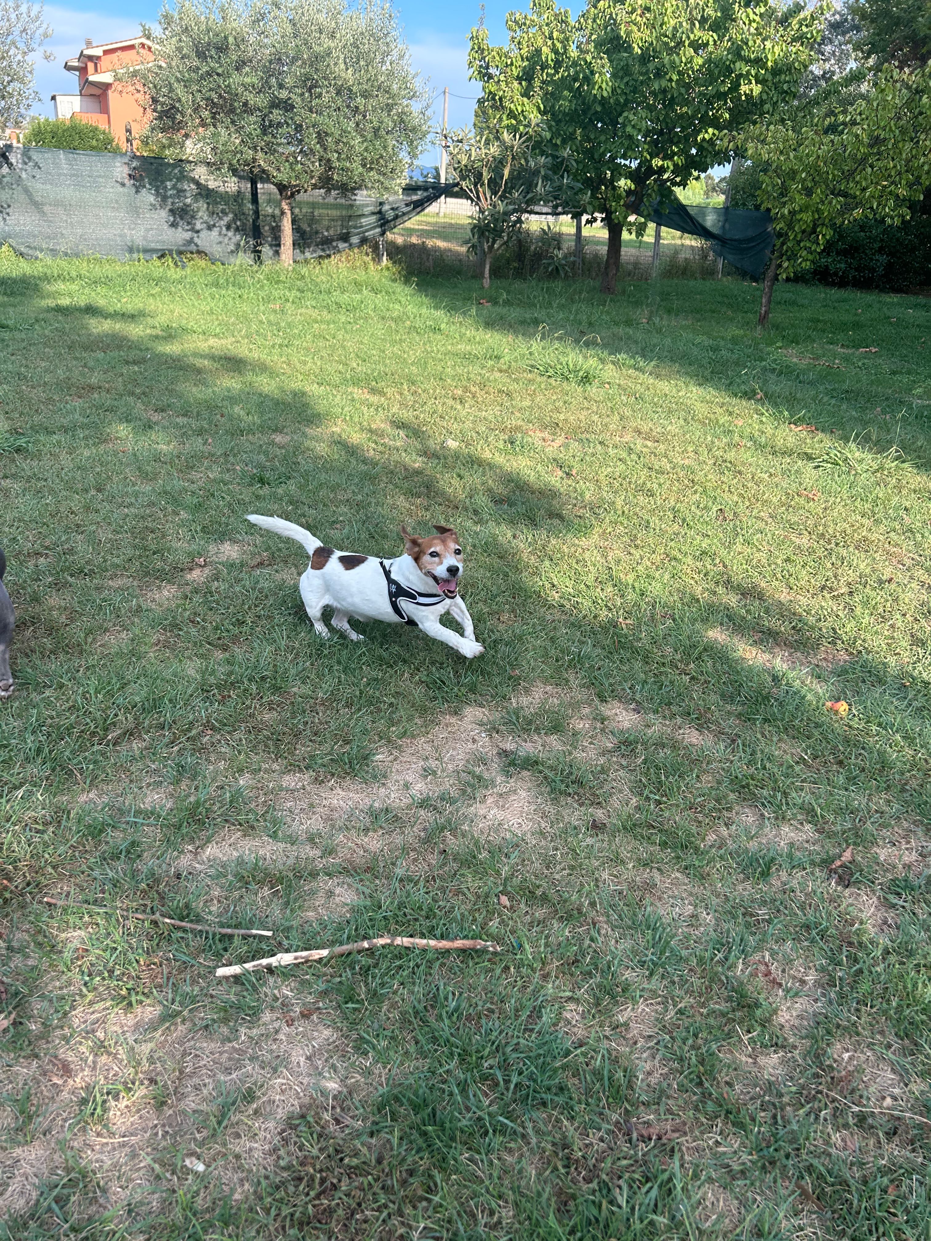 image-12