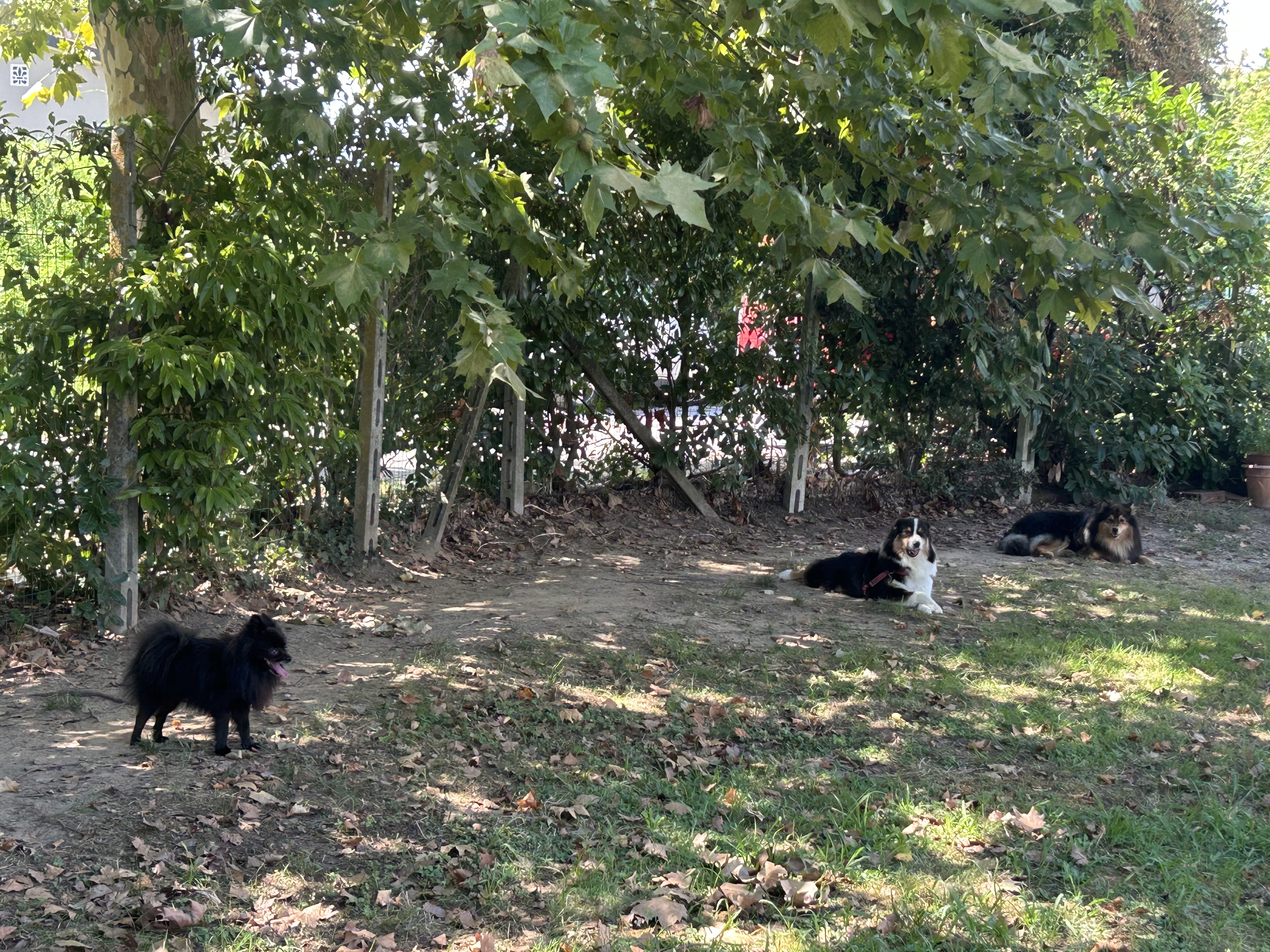 image-16