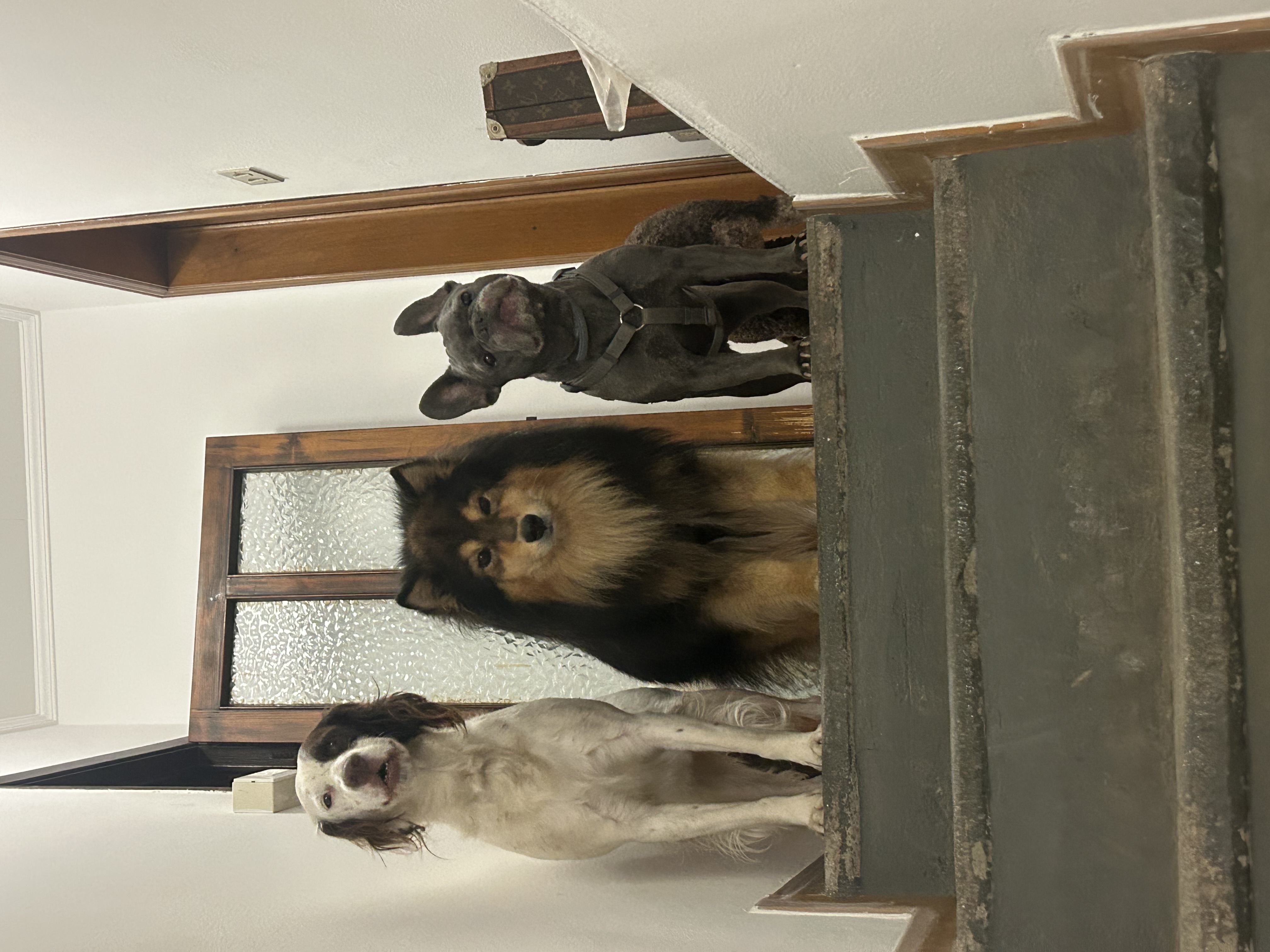 image-15