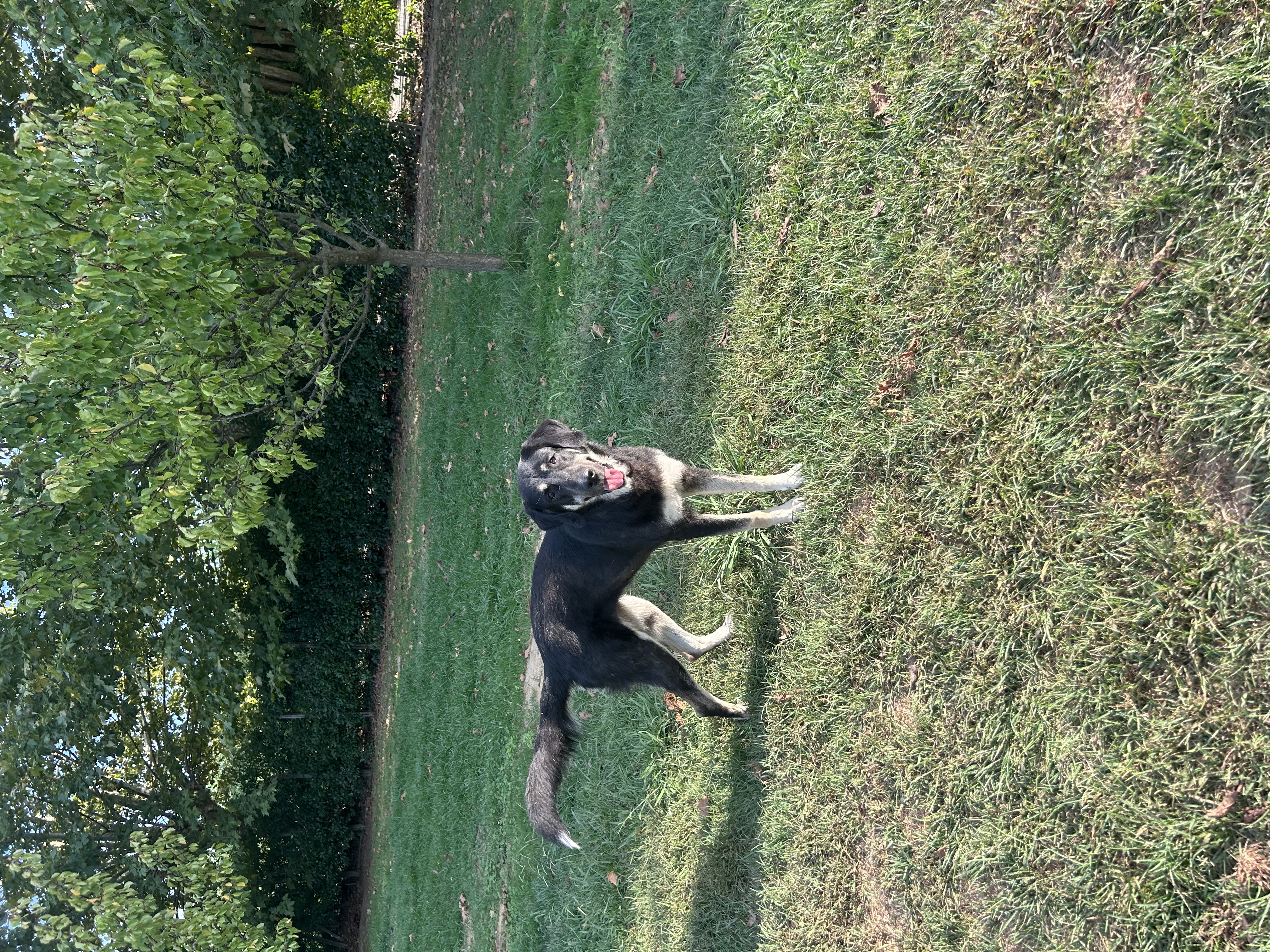 image-13