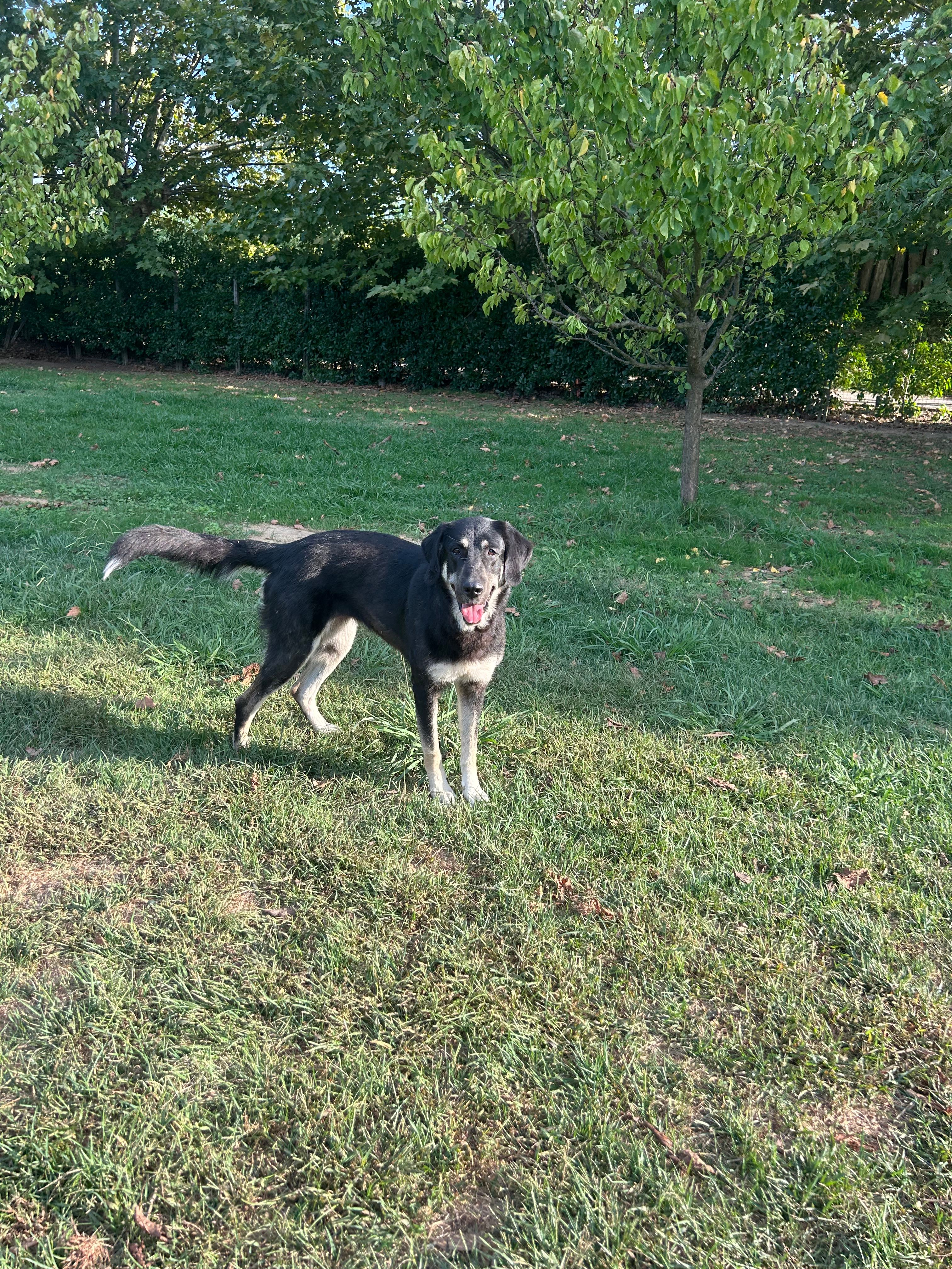 image-13