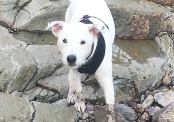 Sam