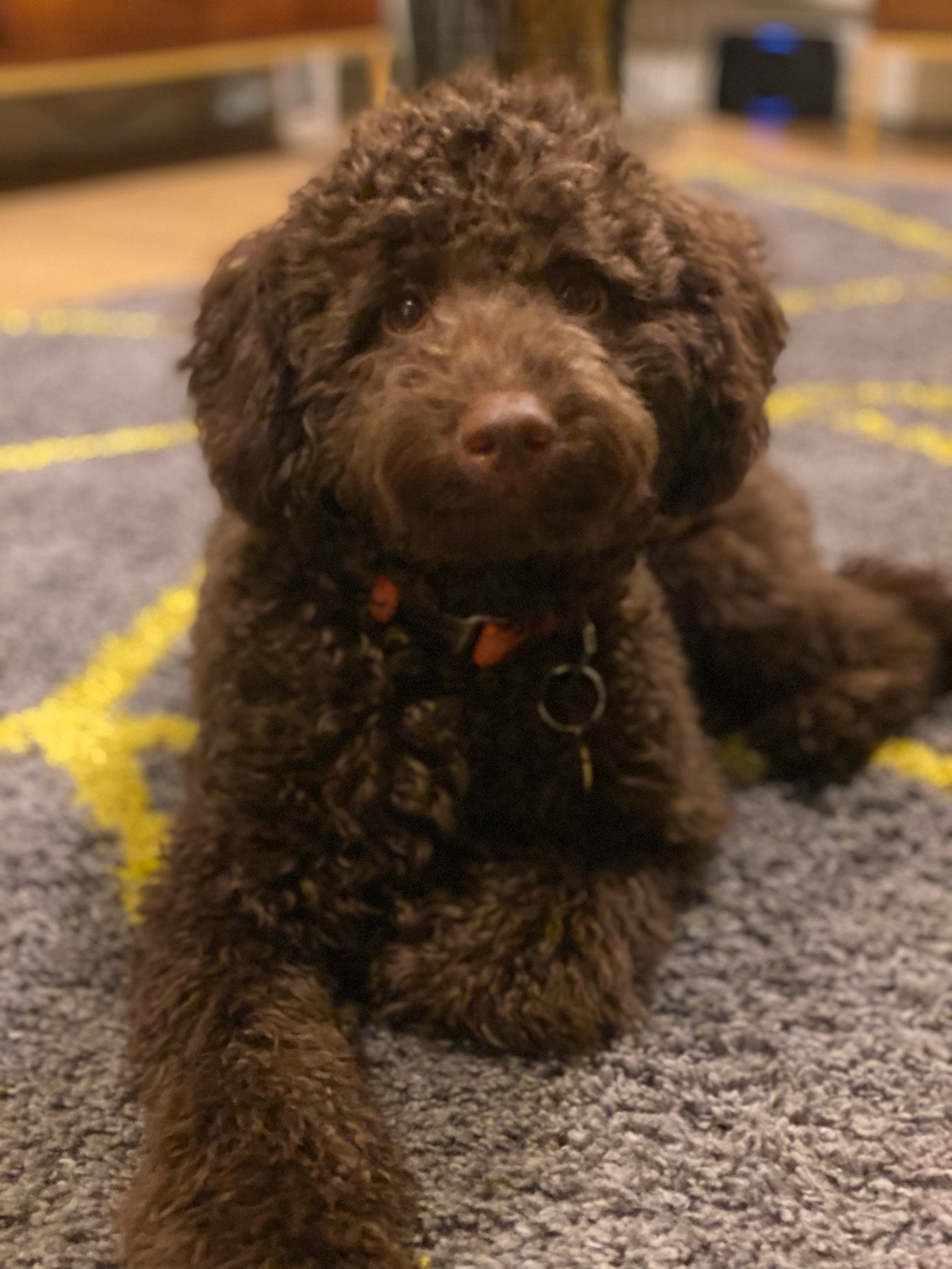Marley 