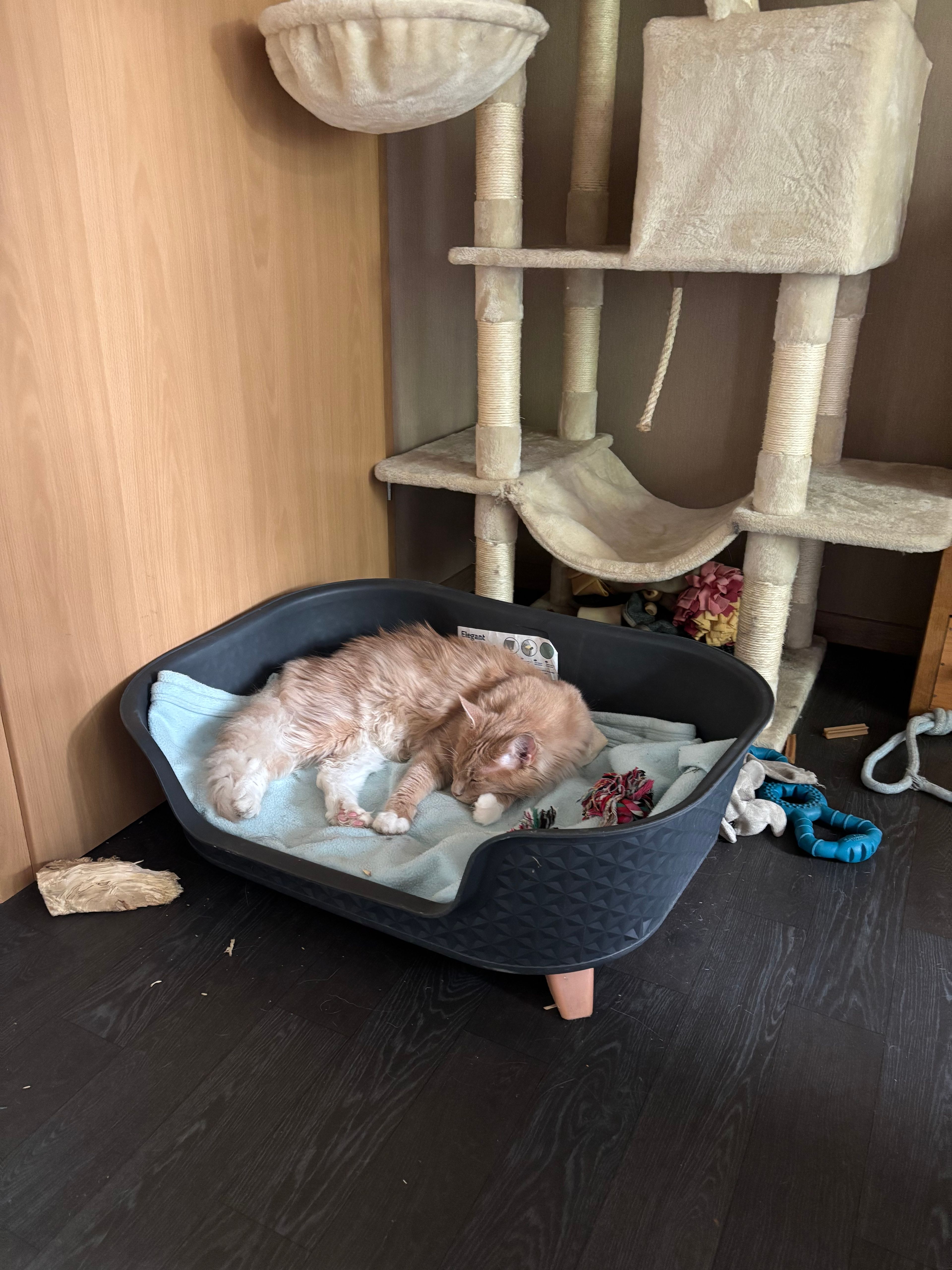 image-10