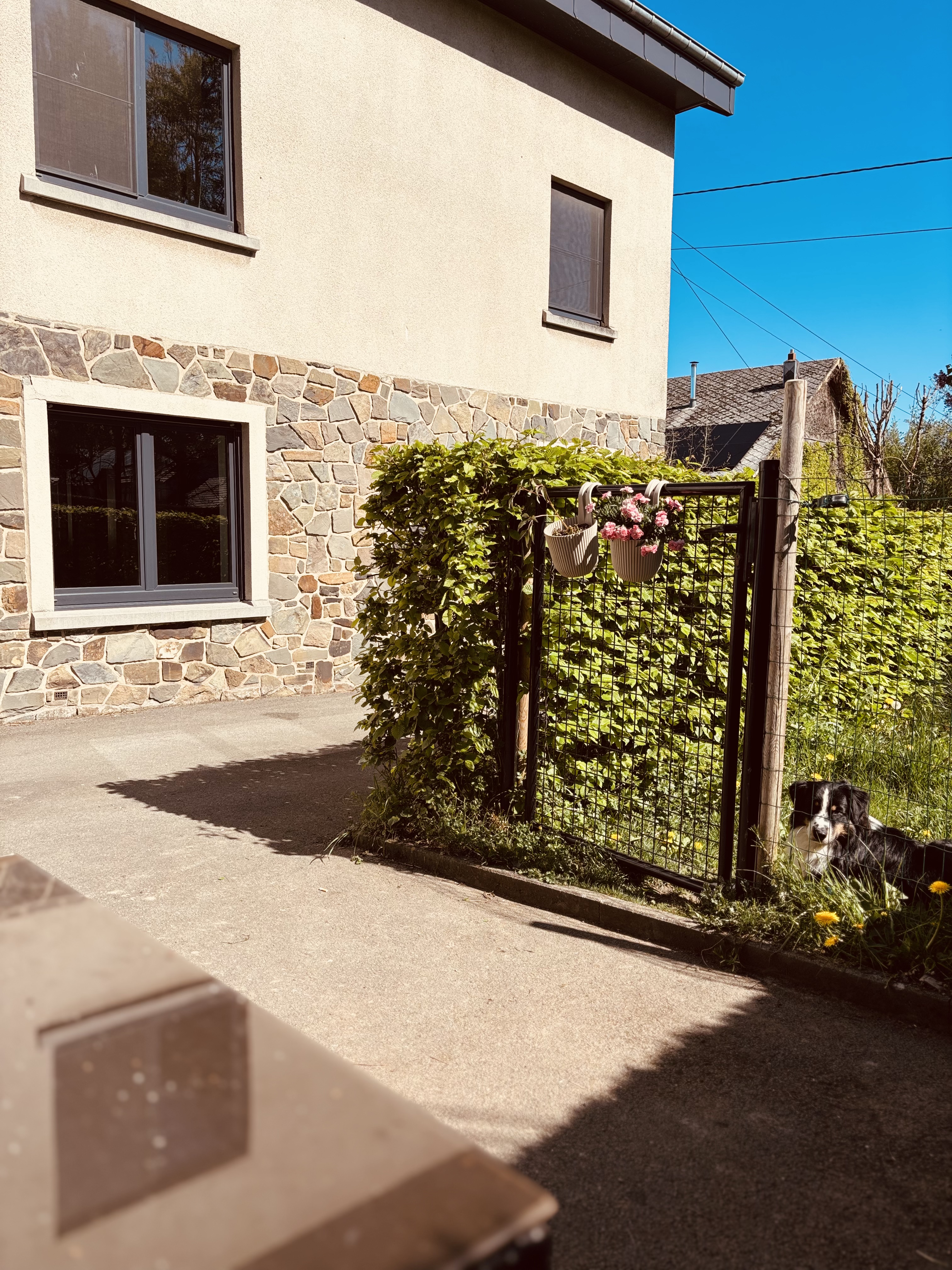 image-20