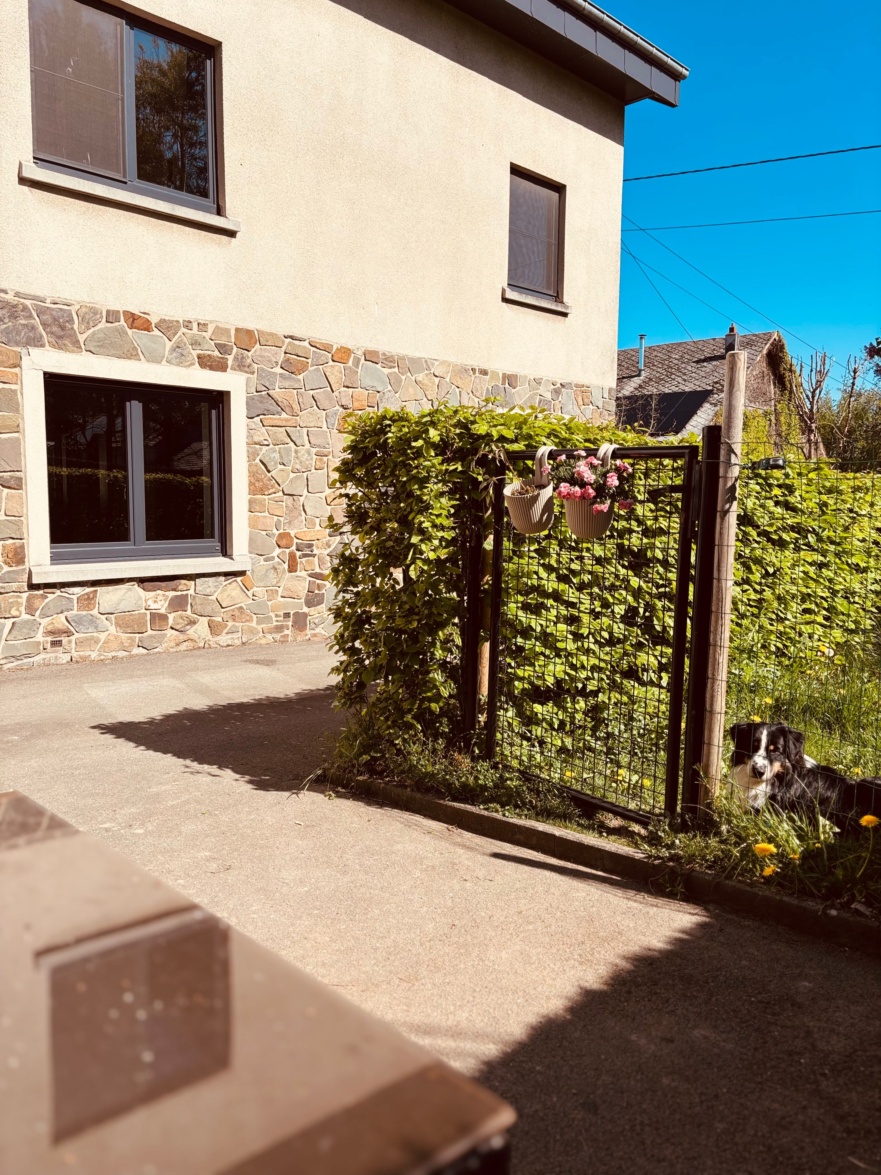 image-20