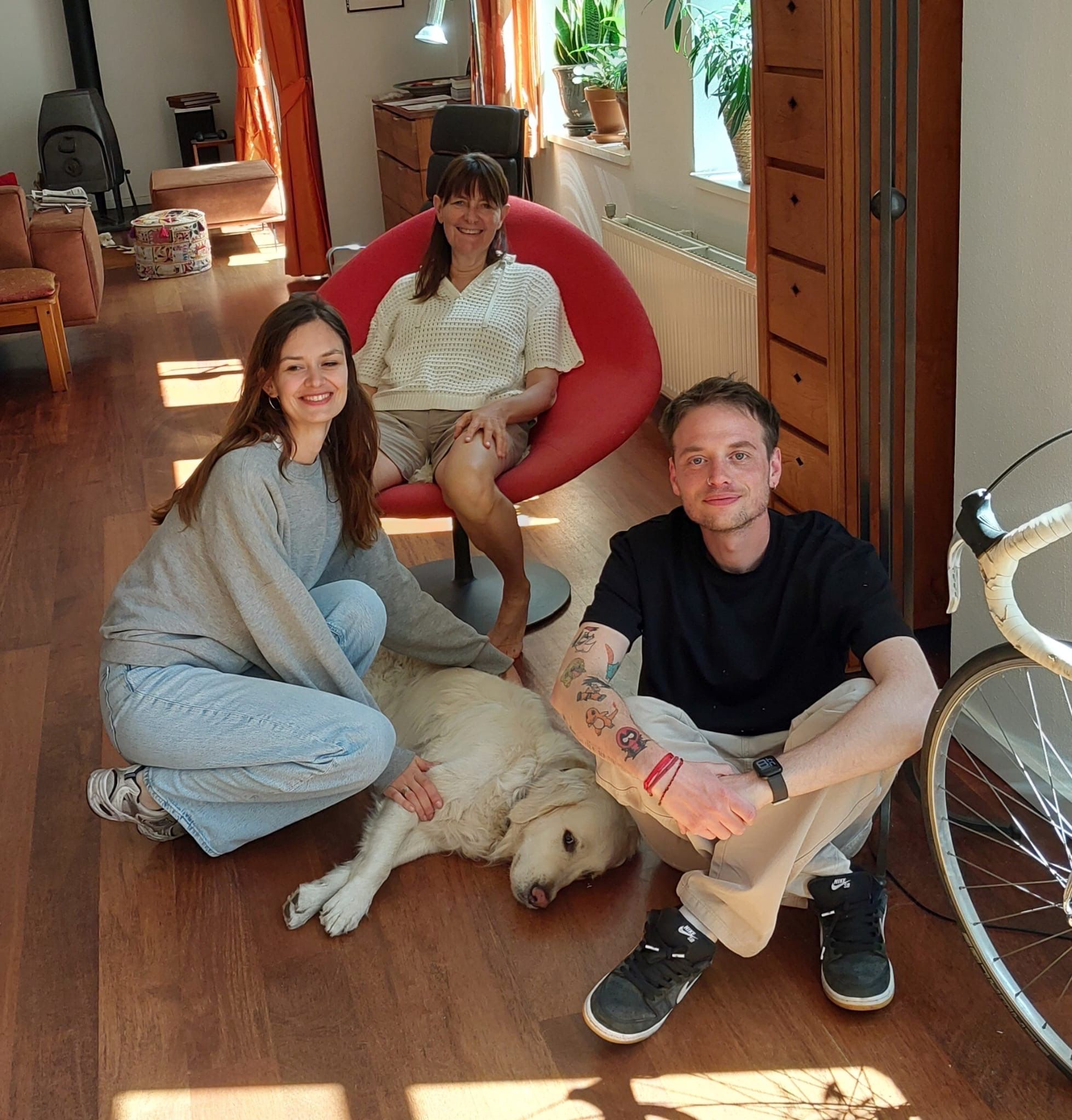 image-4