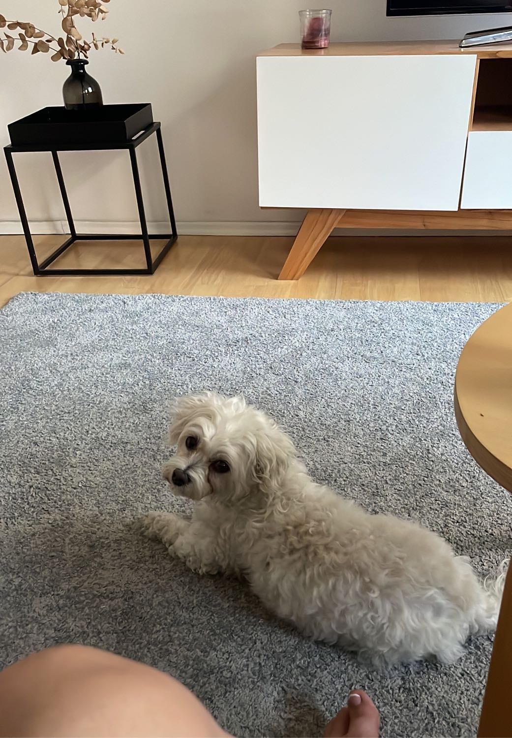 image-7