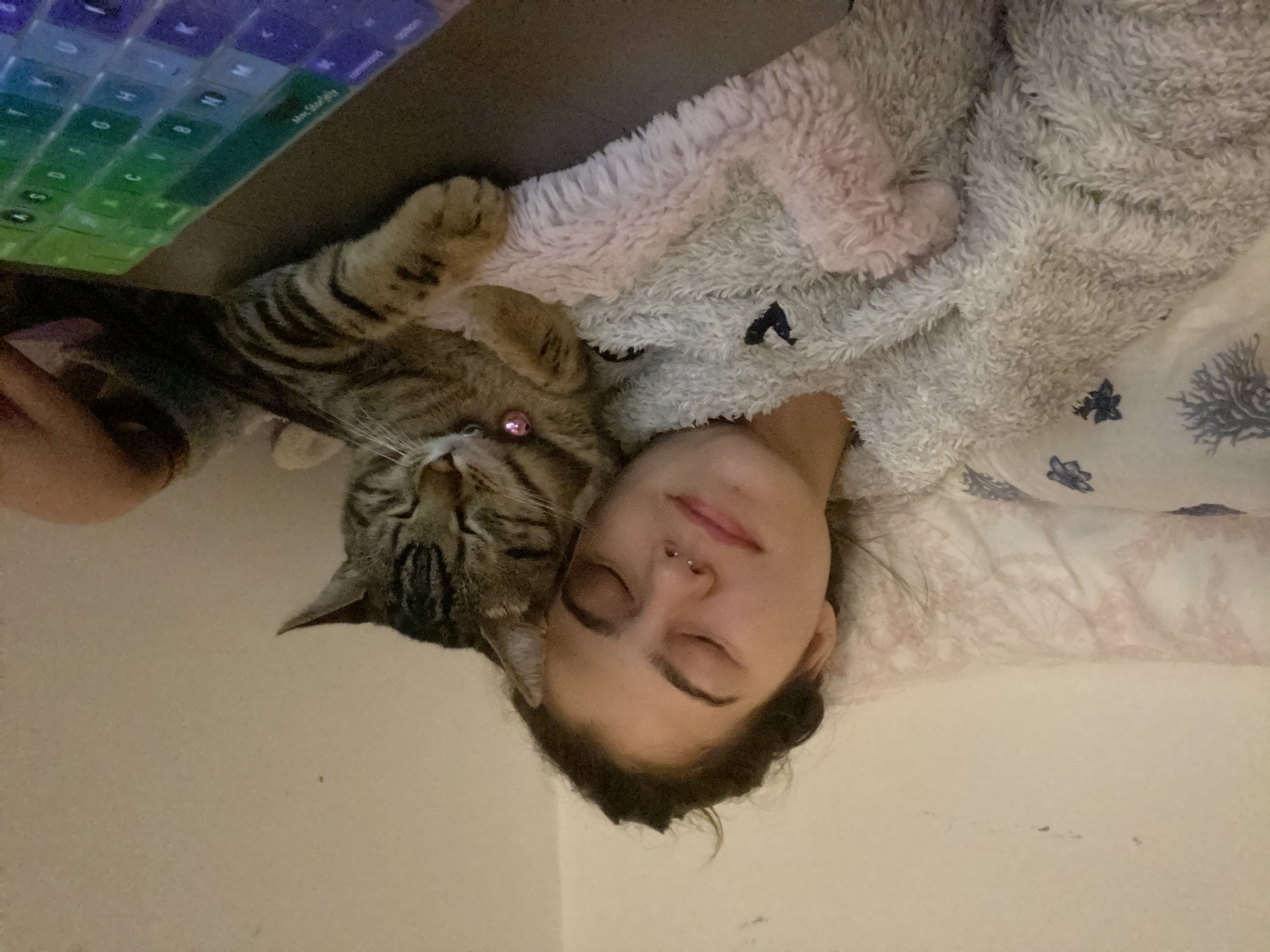 image-6