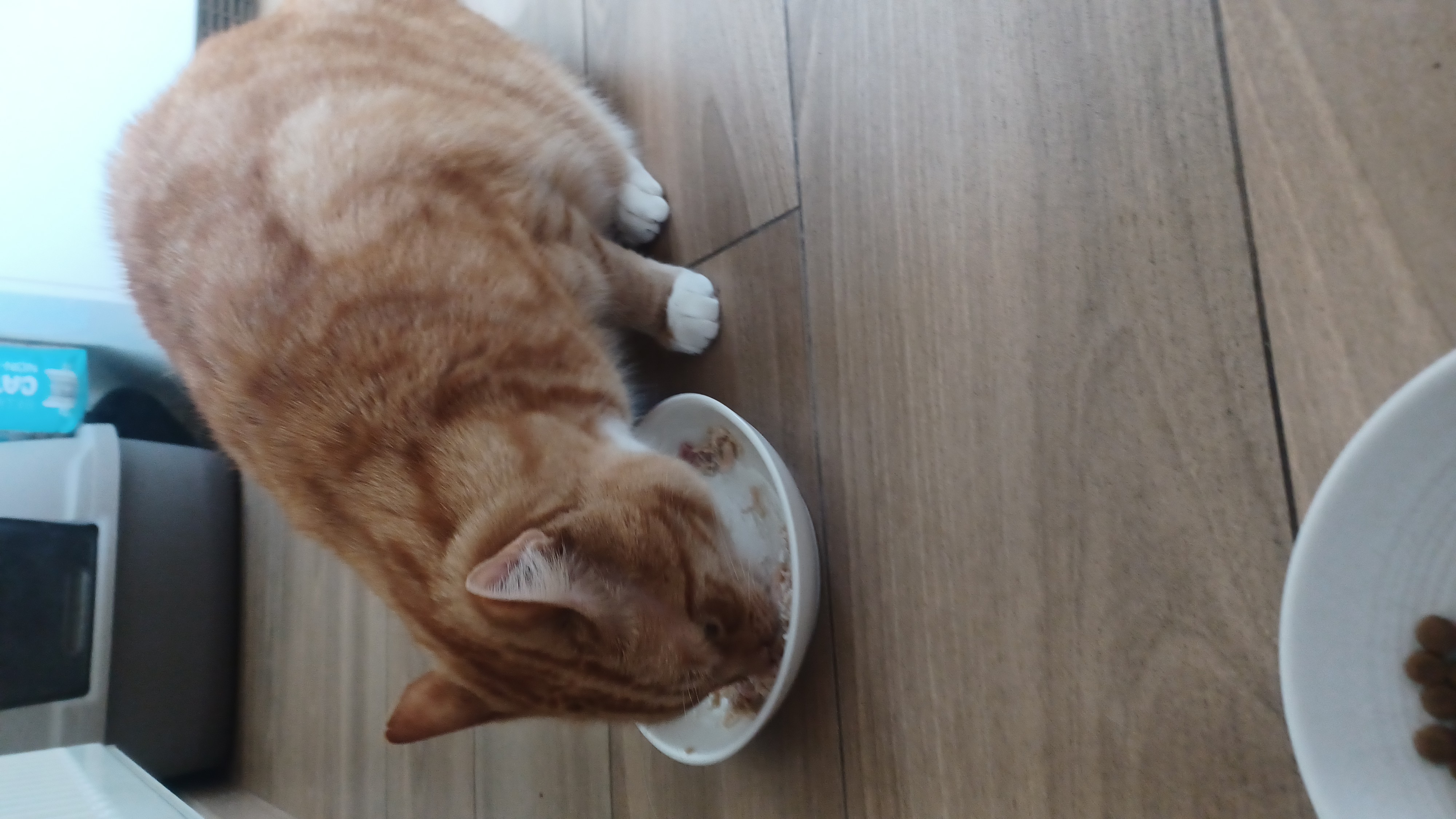 image-4