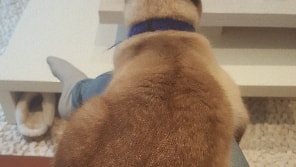 image-4