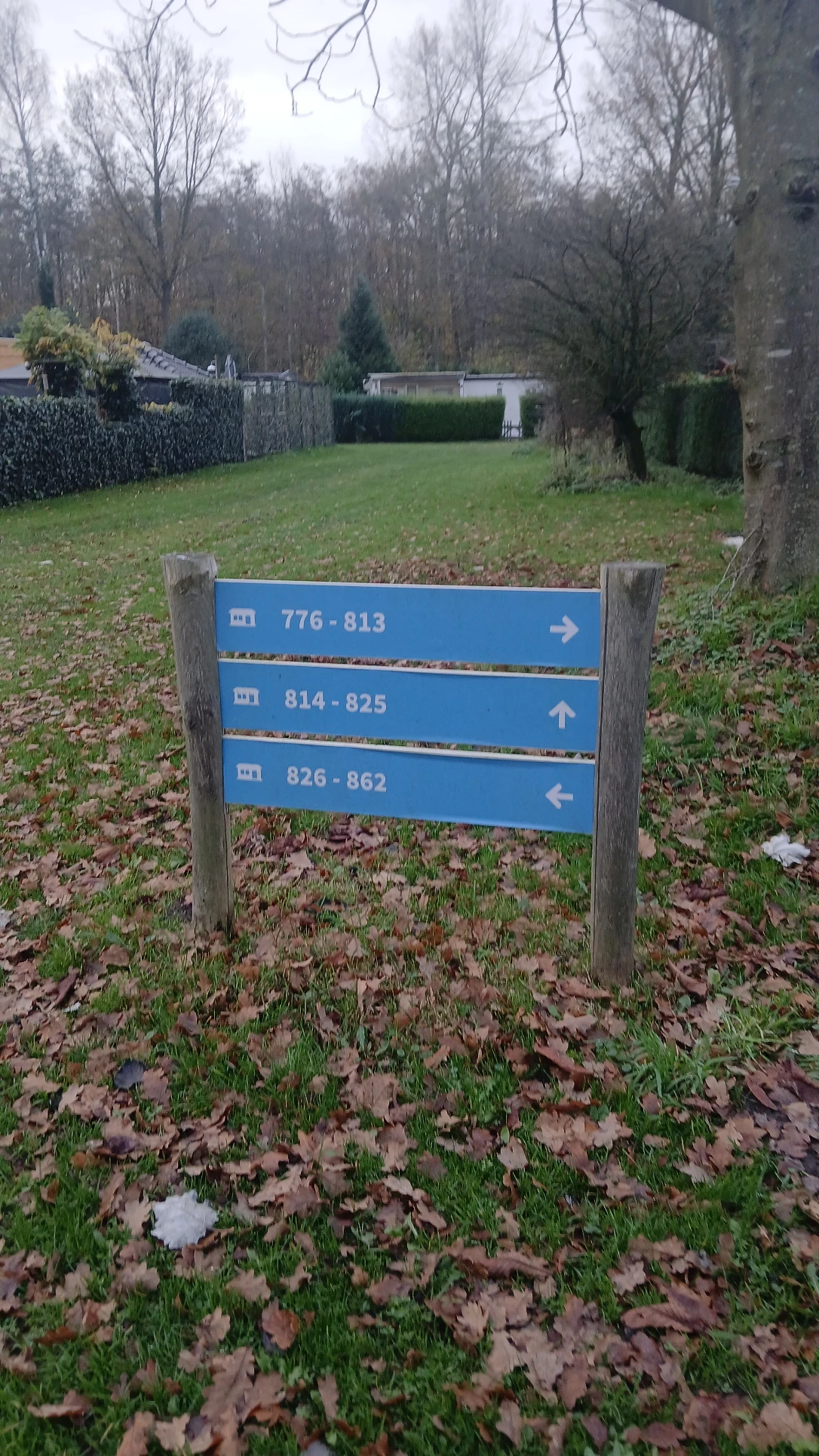 image-19