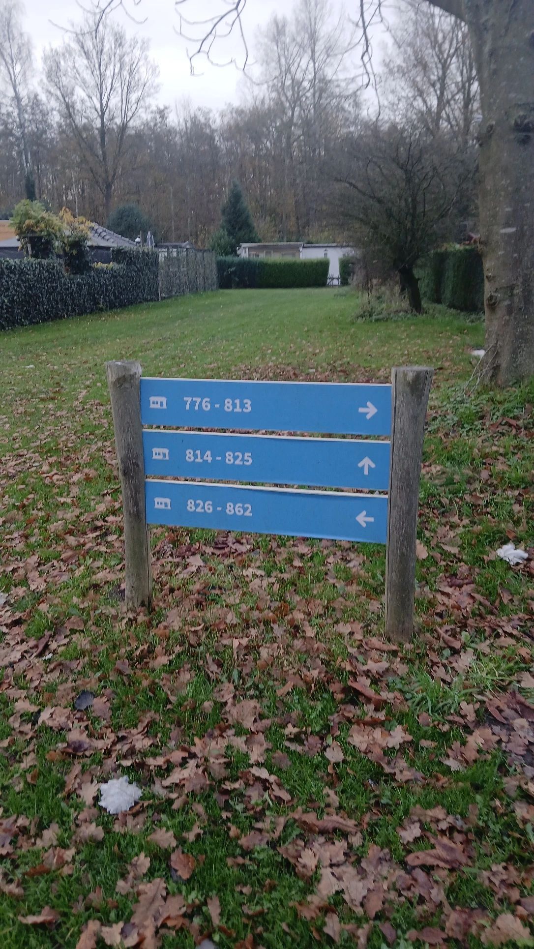 image-19