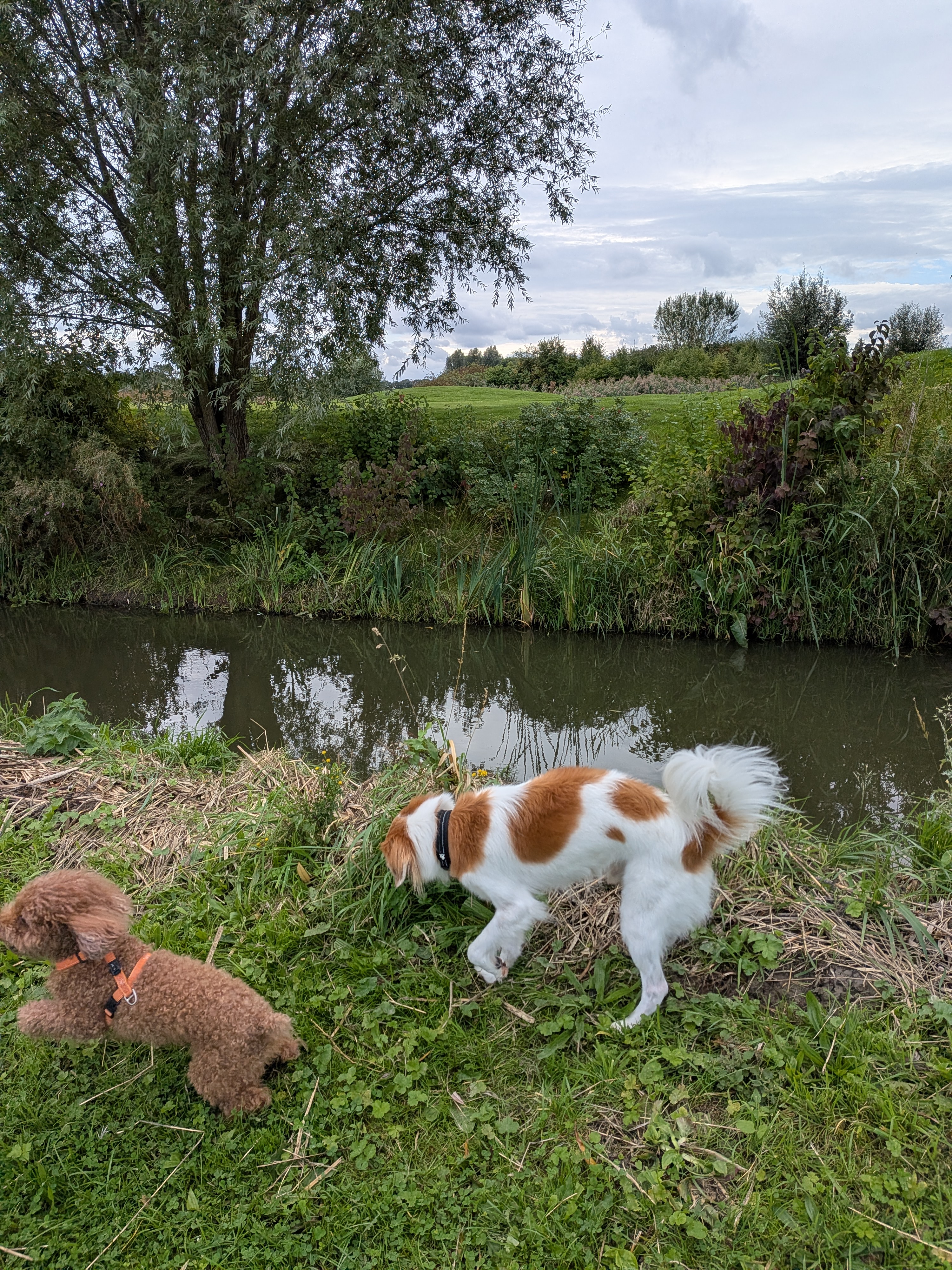 image-27