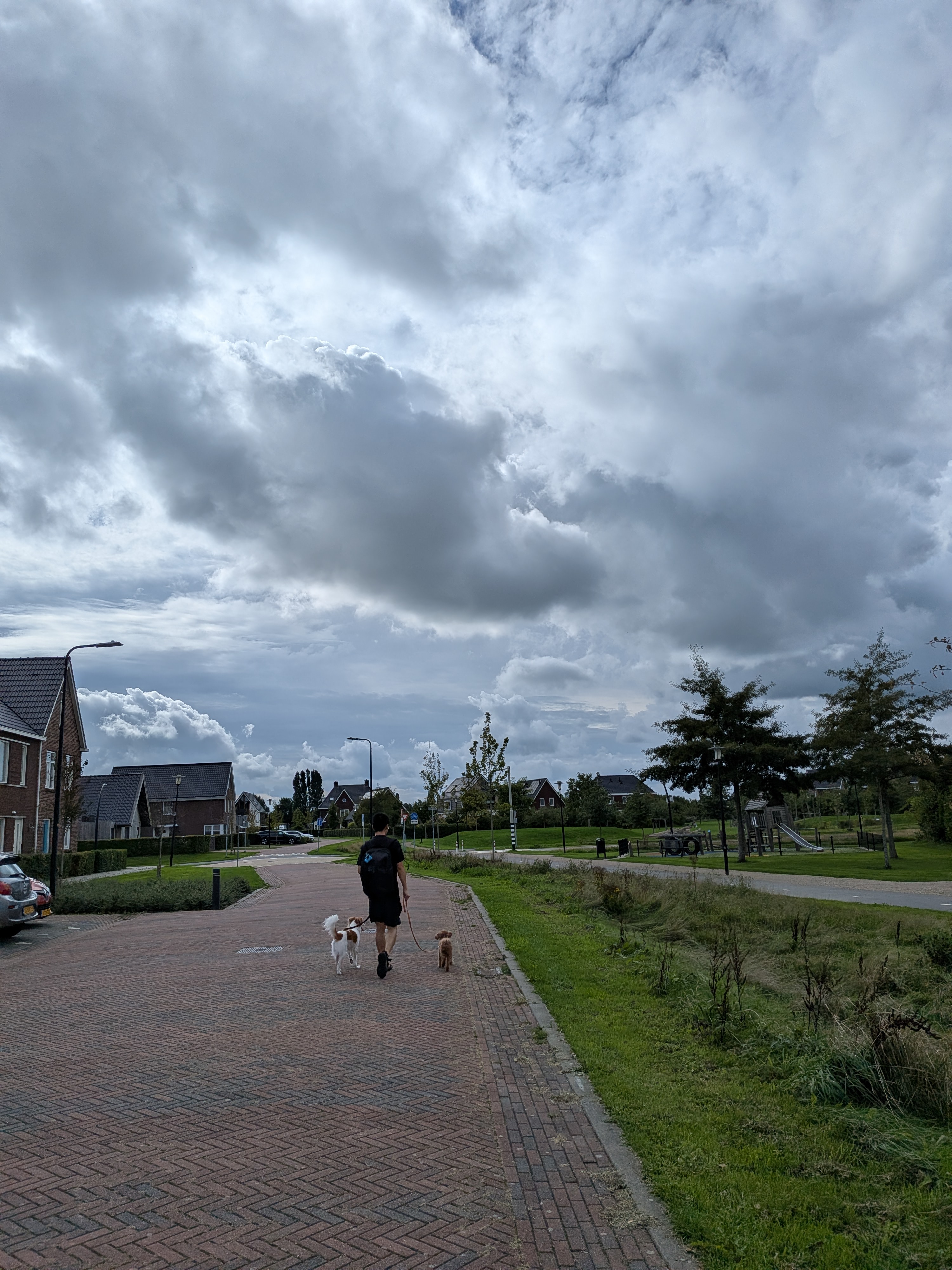 image-28
