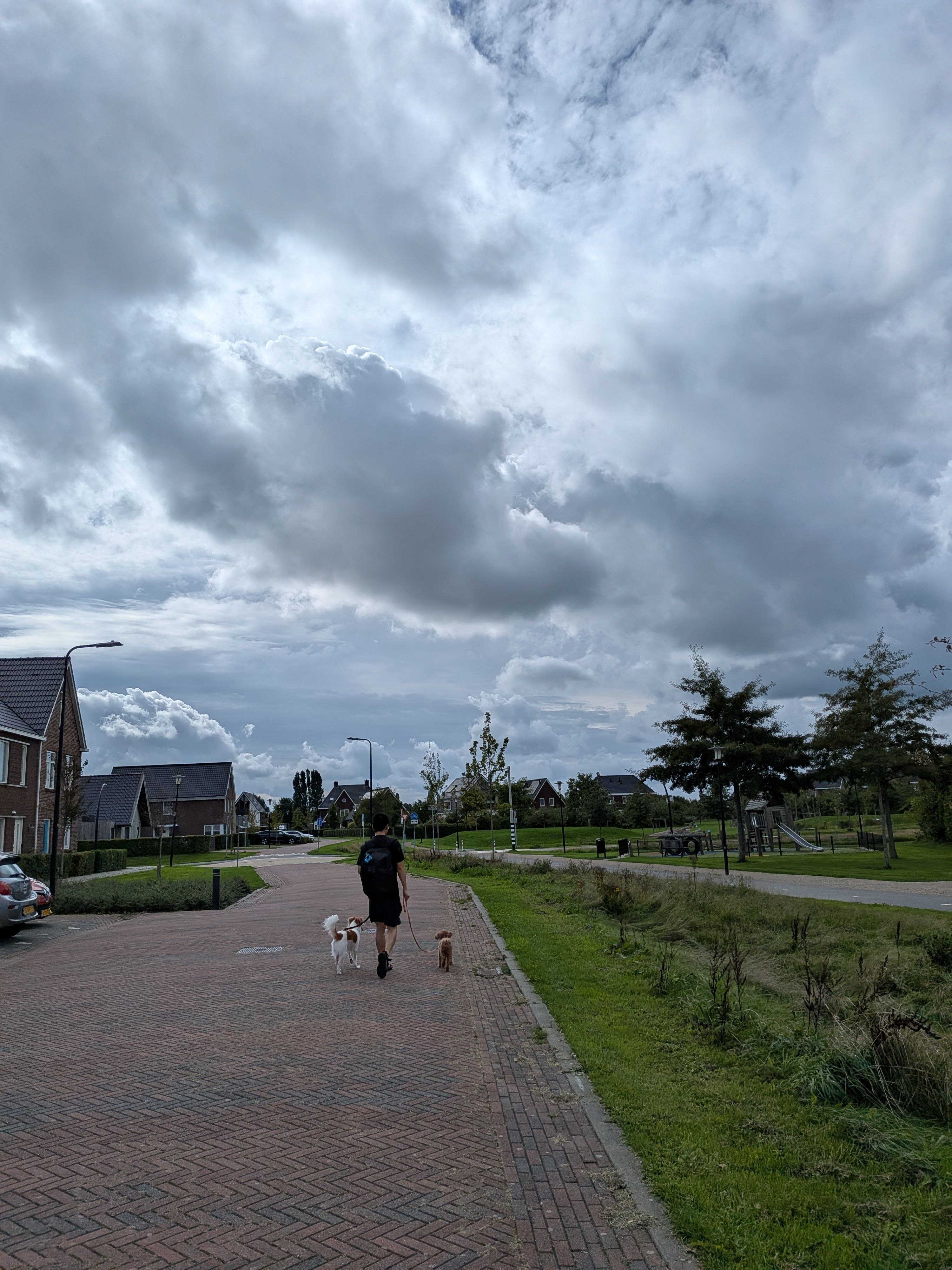 image-28