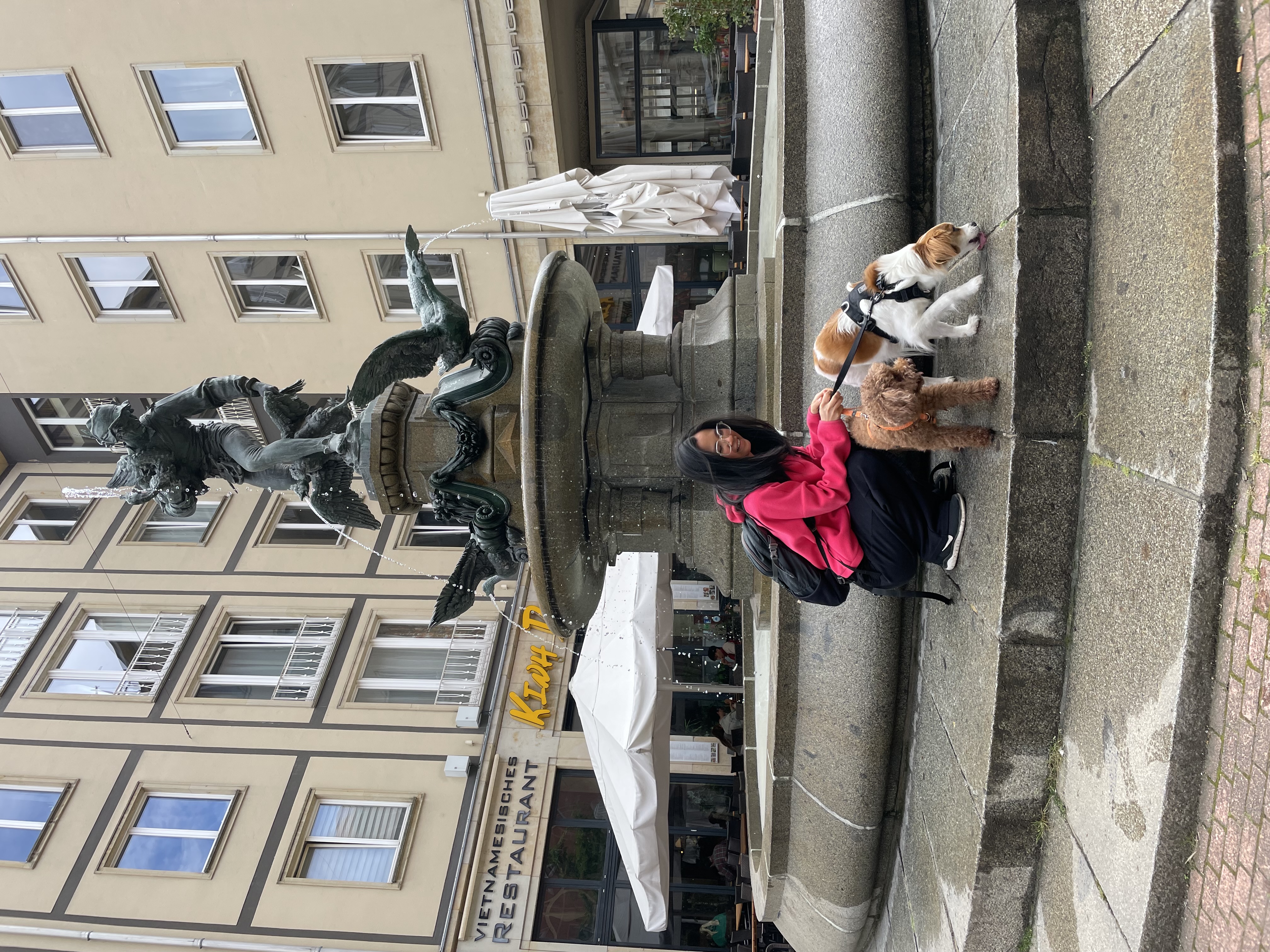 image-14