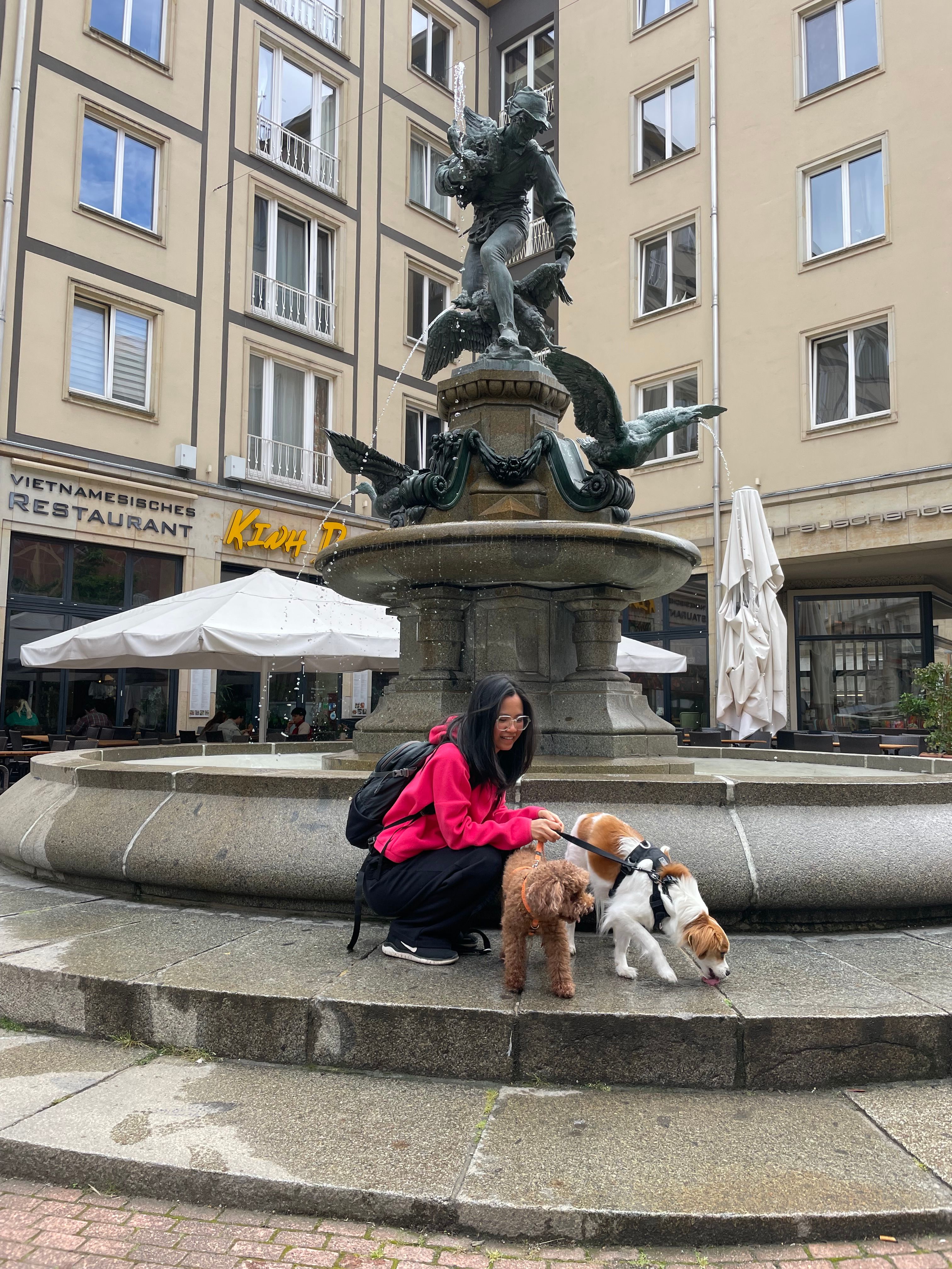 image-14