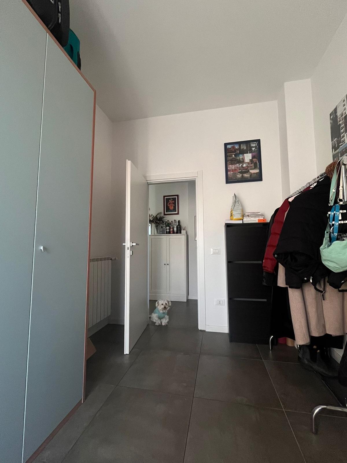 image-20