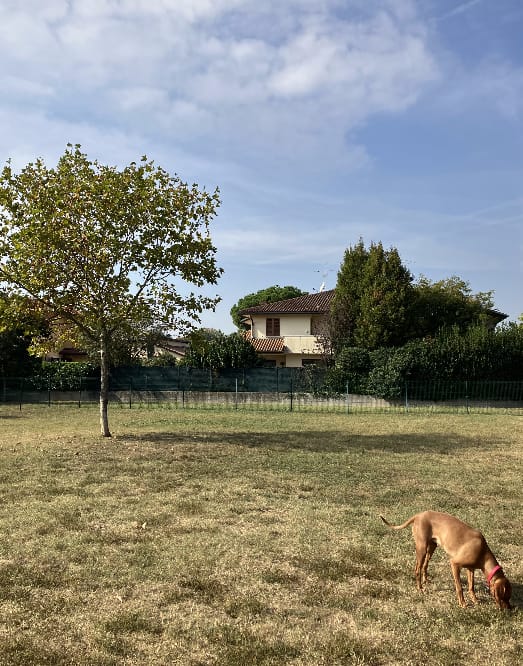 image-19