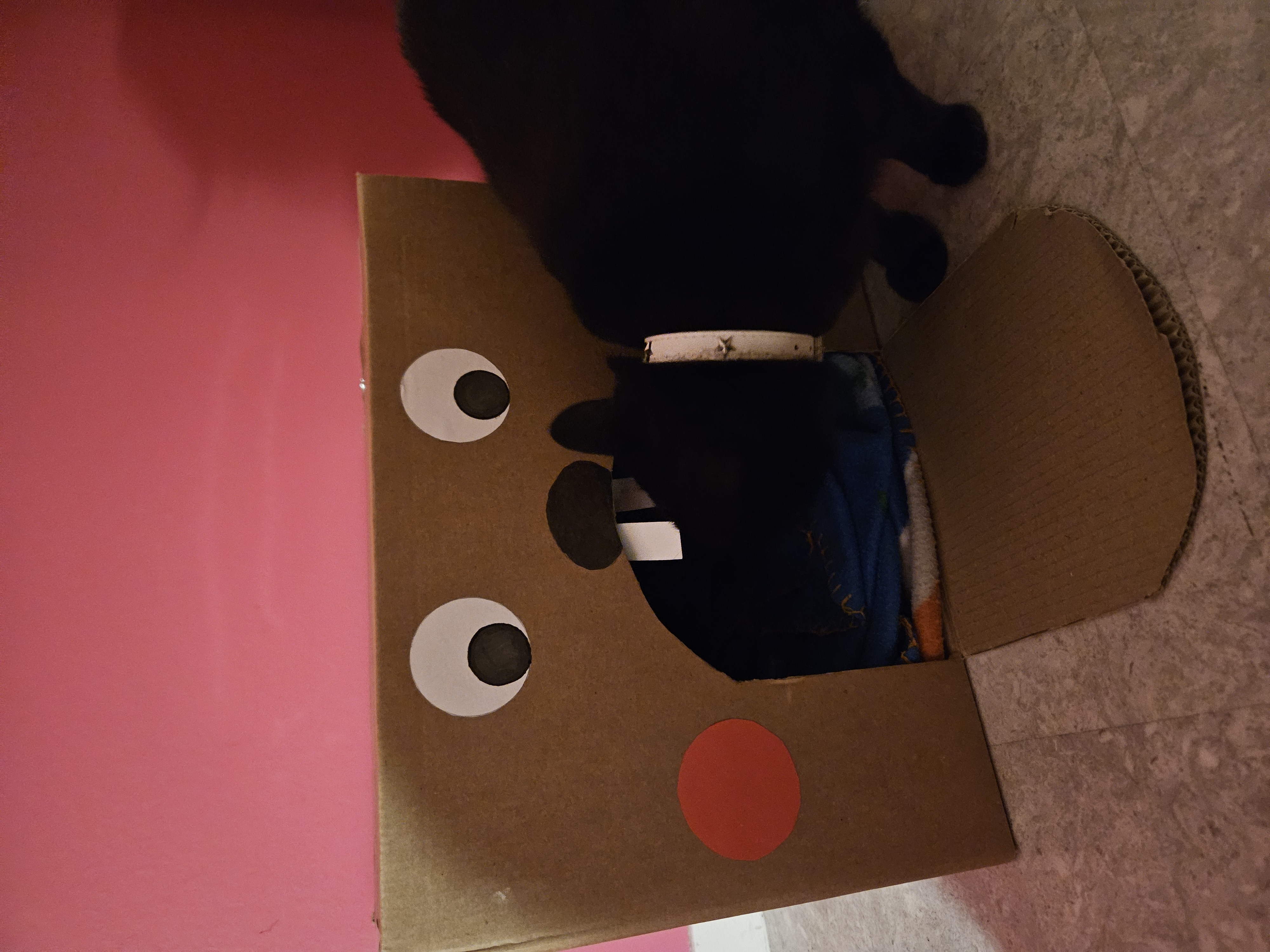 image-7