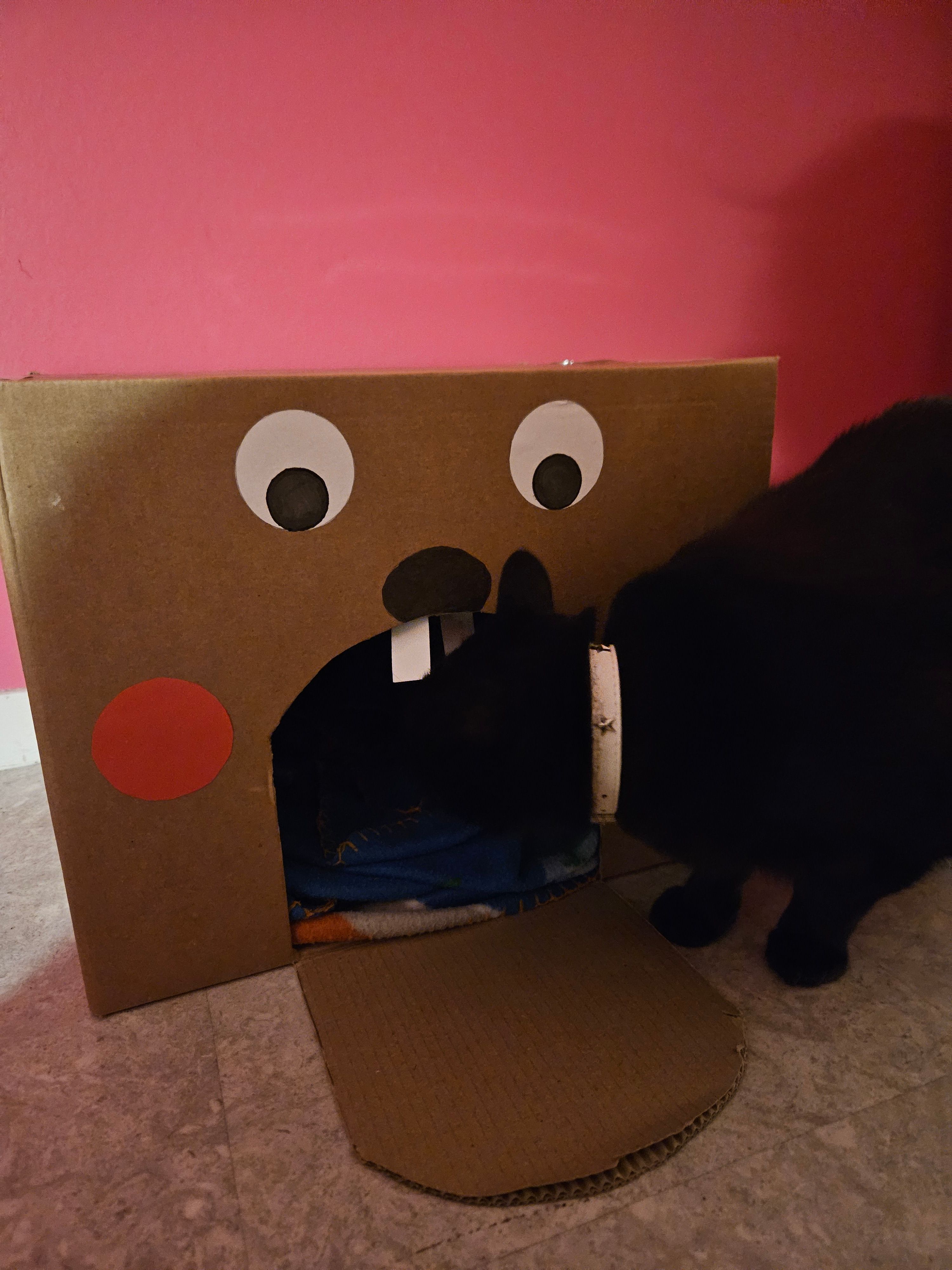 image-7