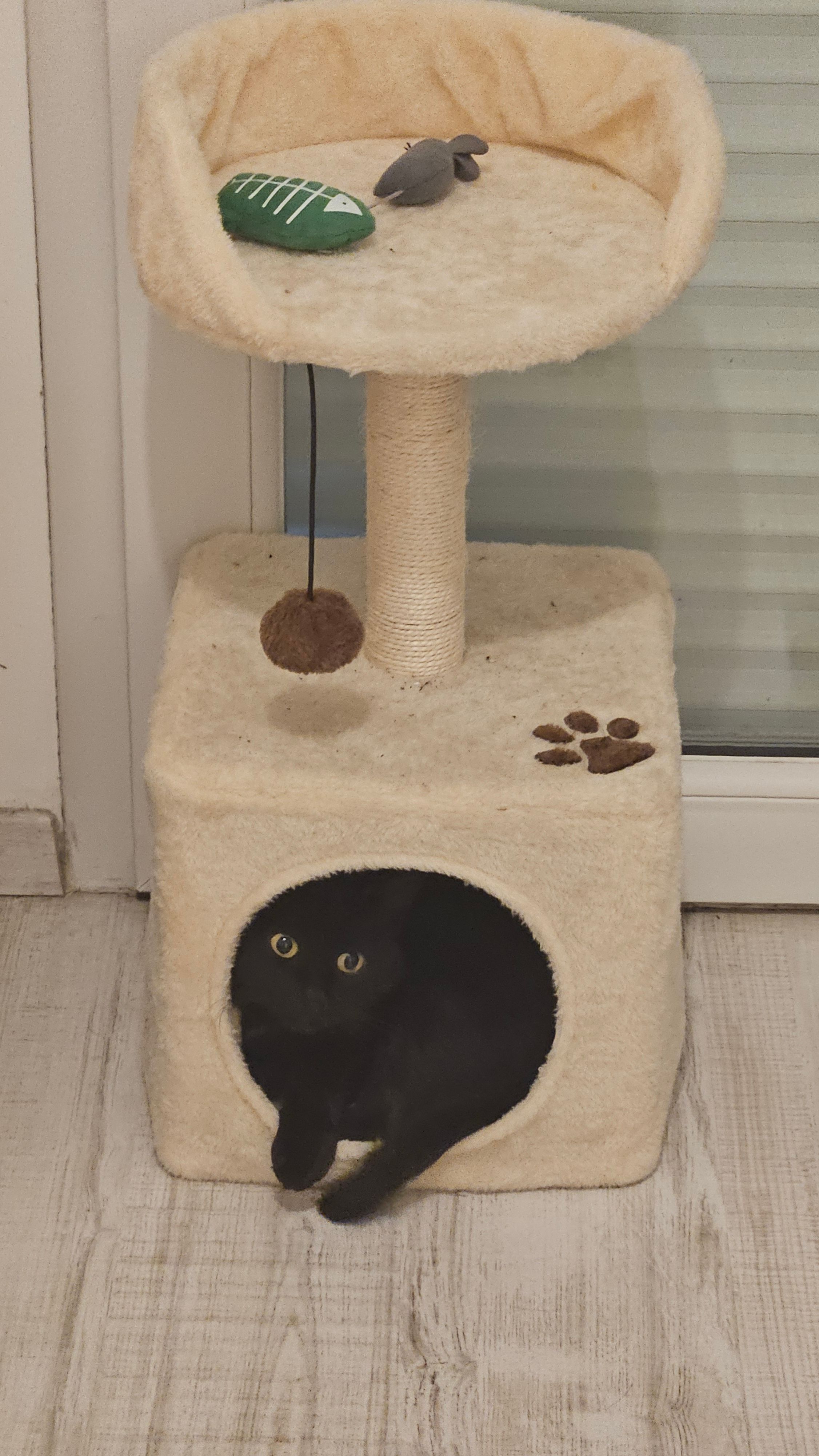 image-6