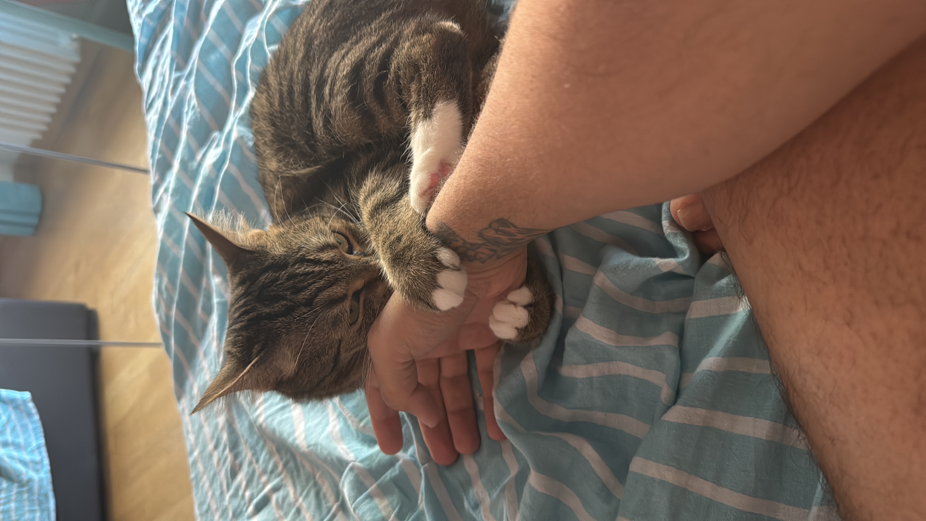 image-8