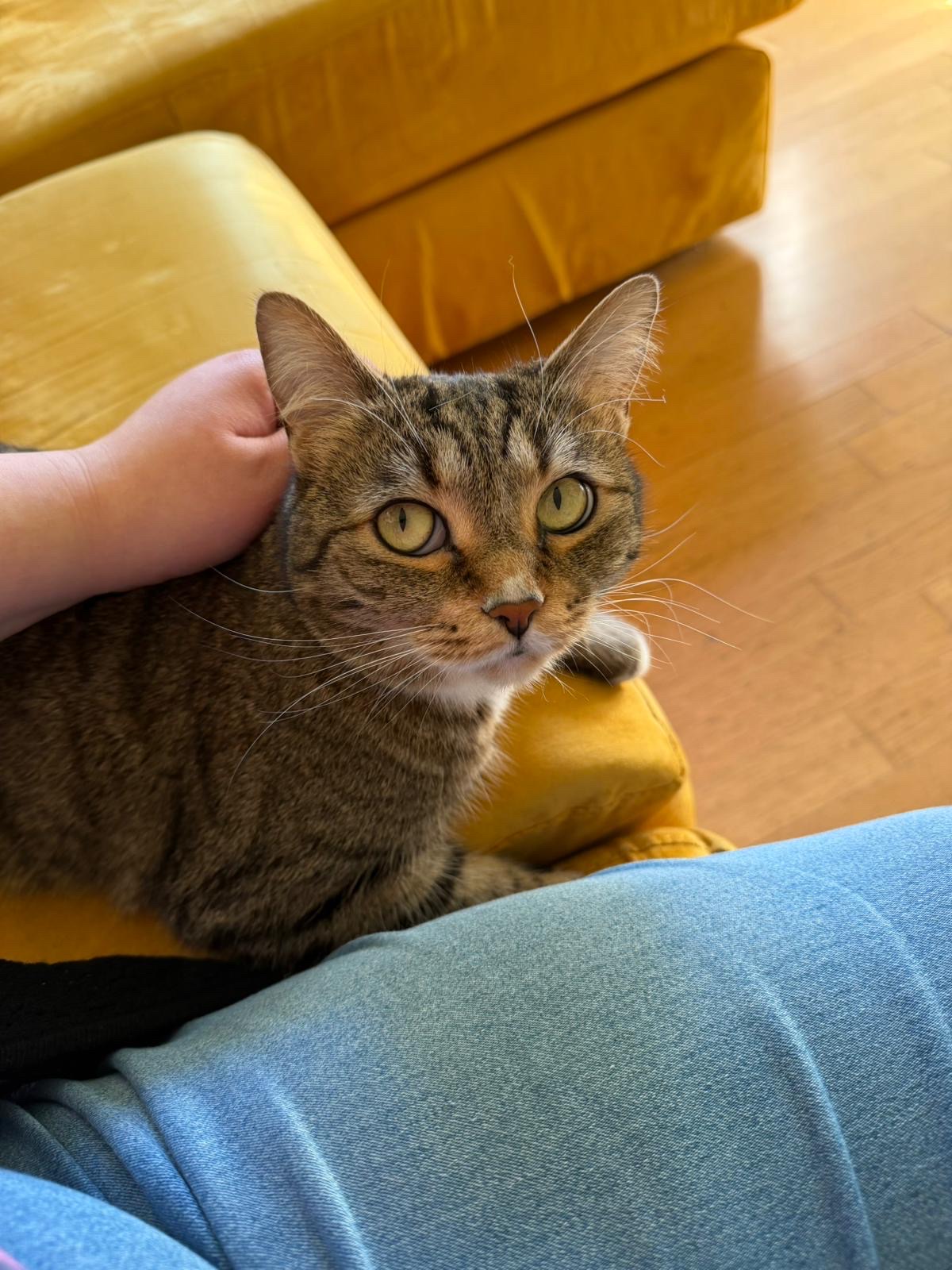 image-6