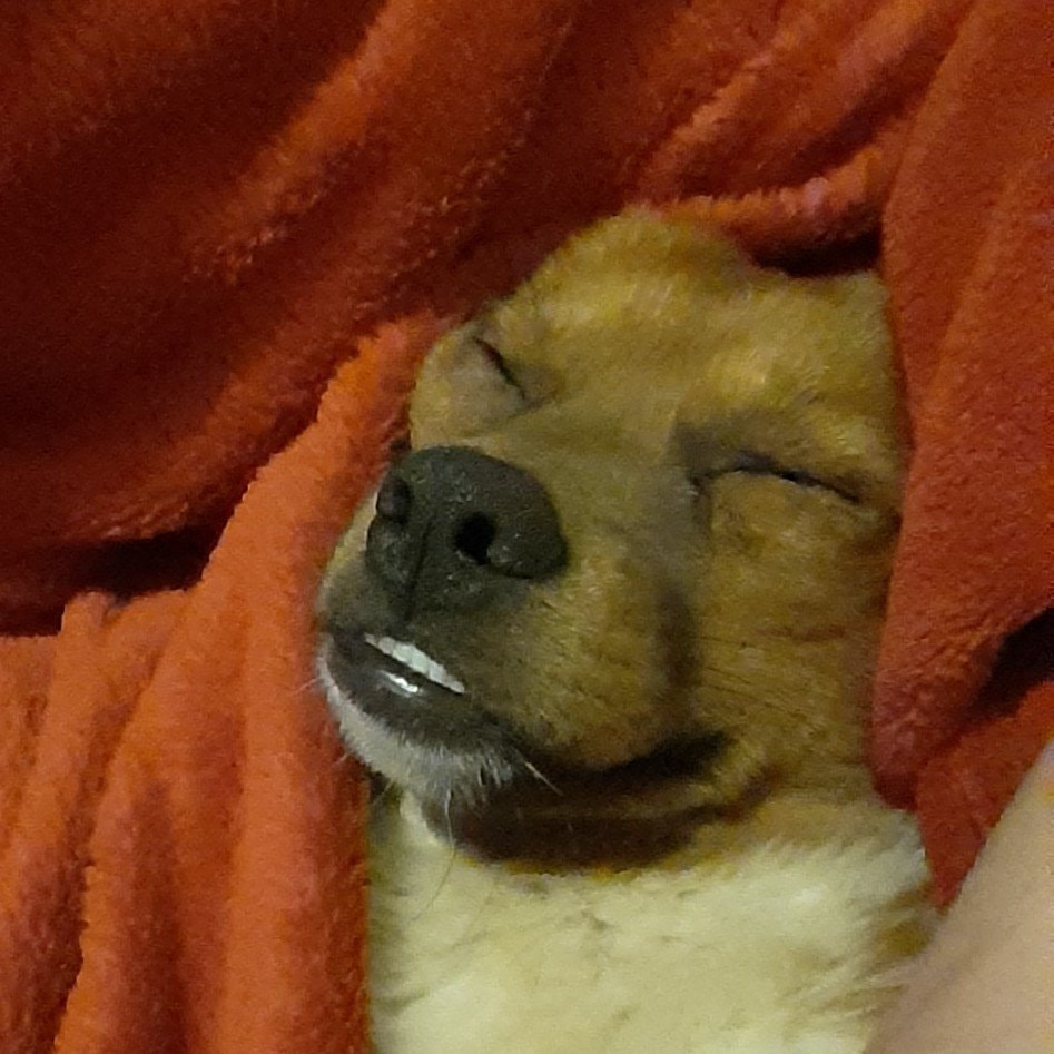 Marley