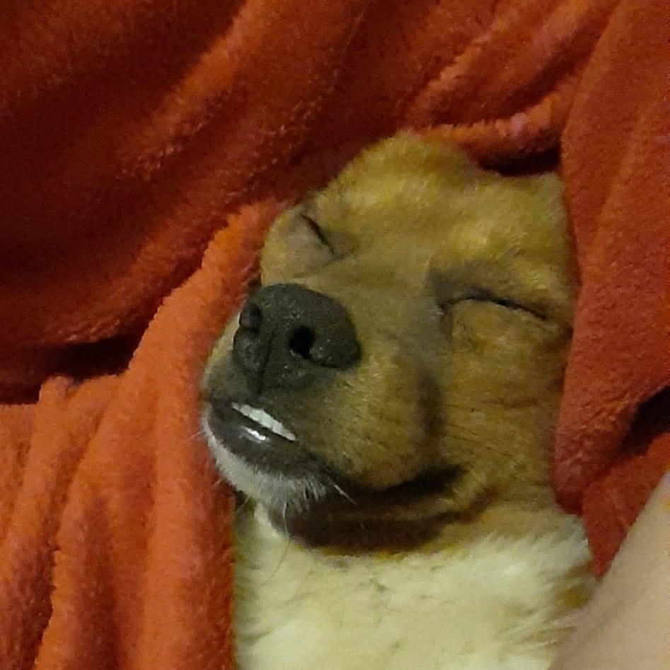 Marley