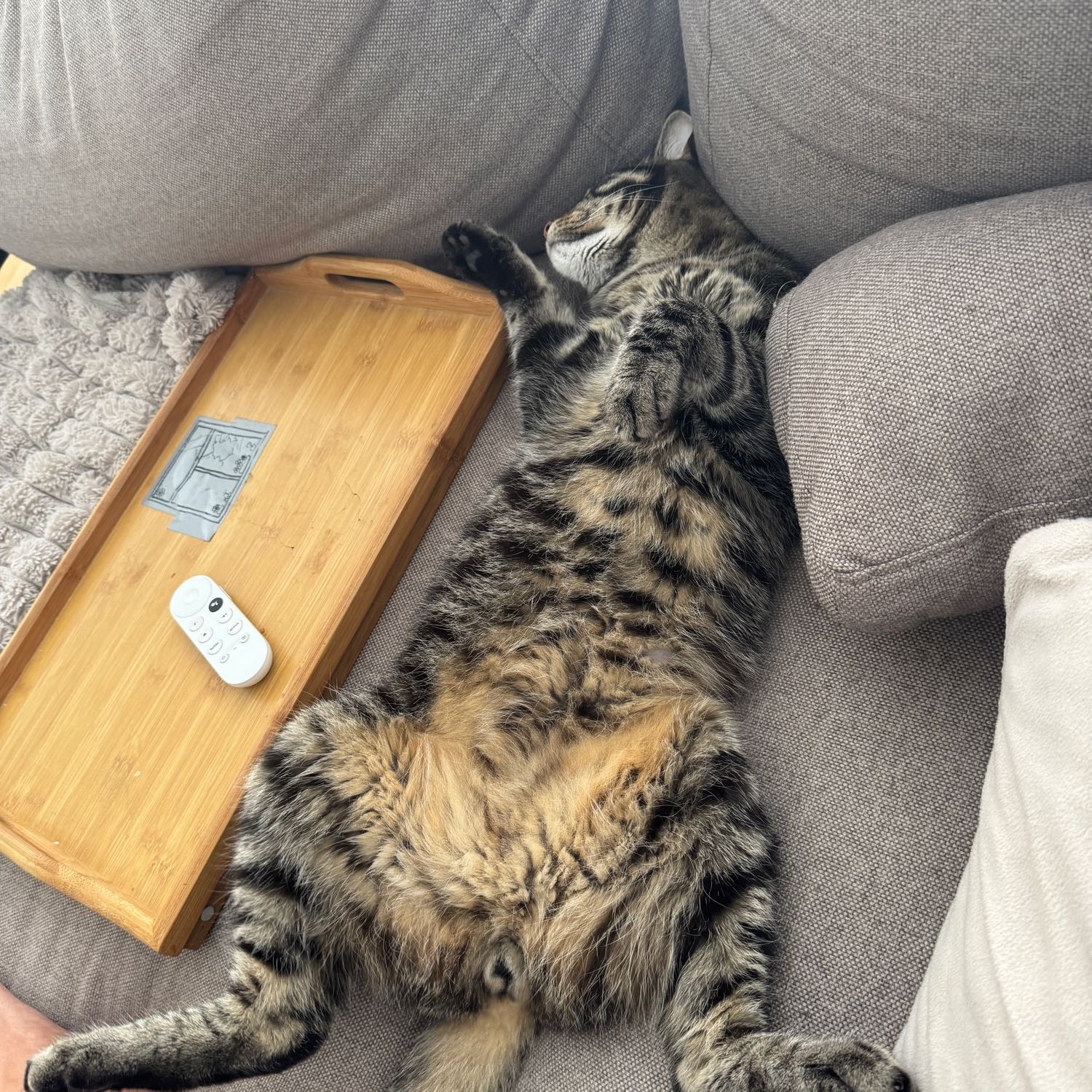 LIO