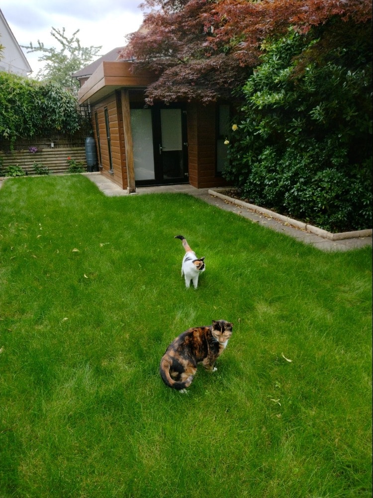 image-2