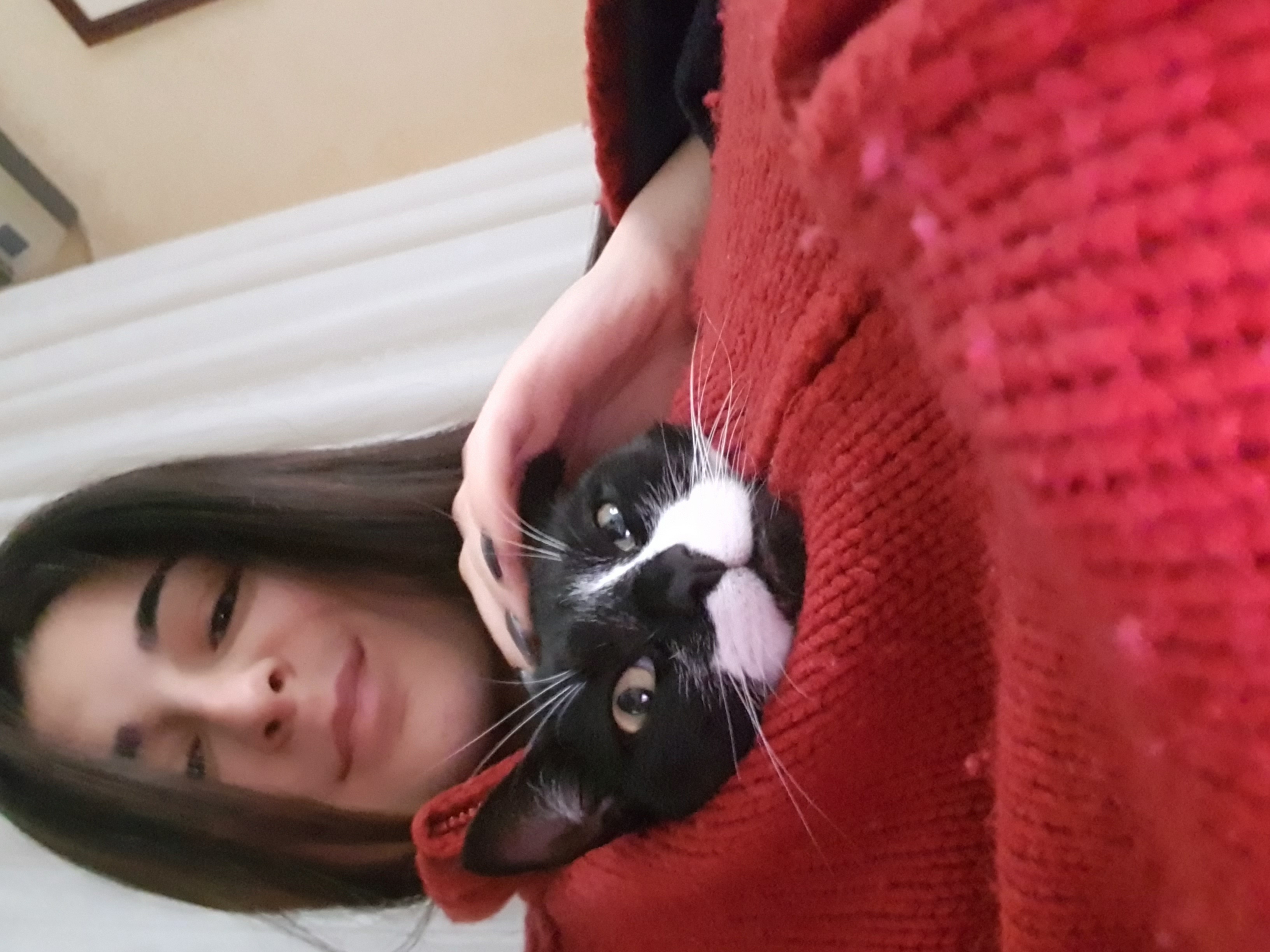 image-4