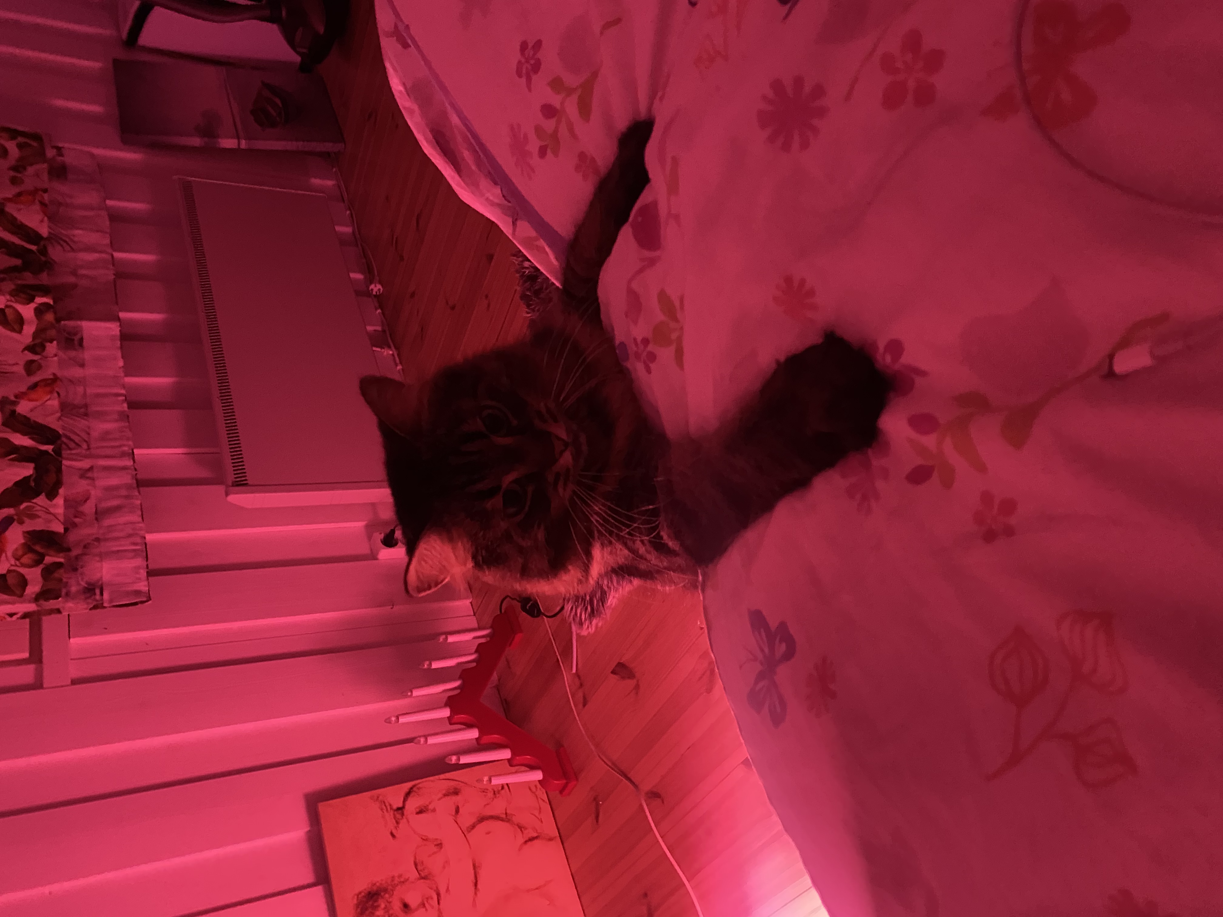 image-15
