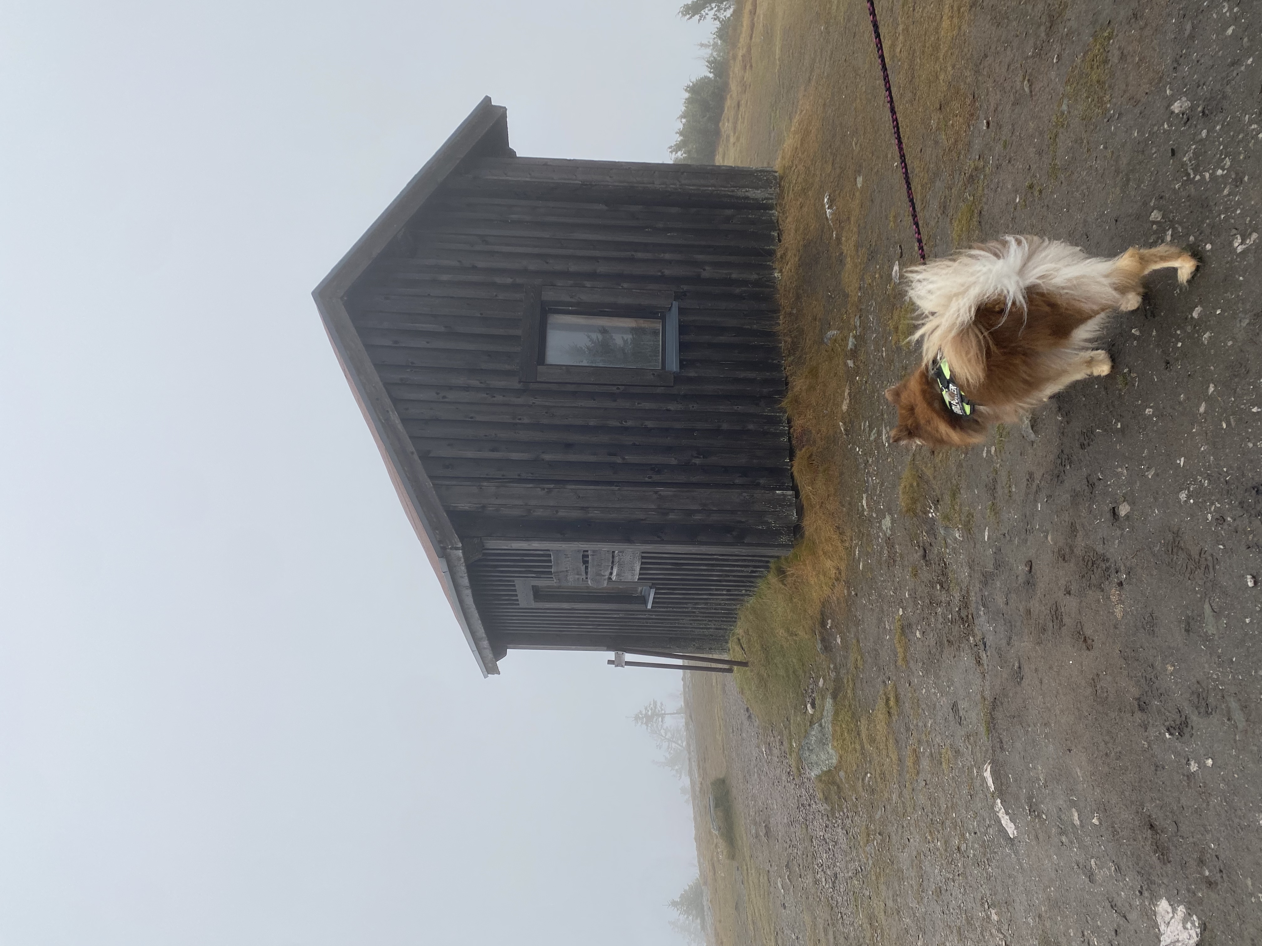 image-17