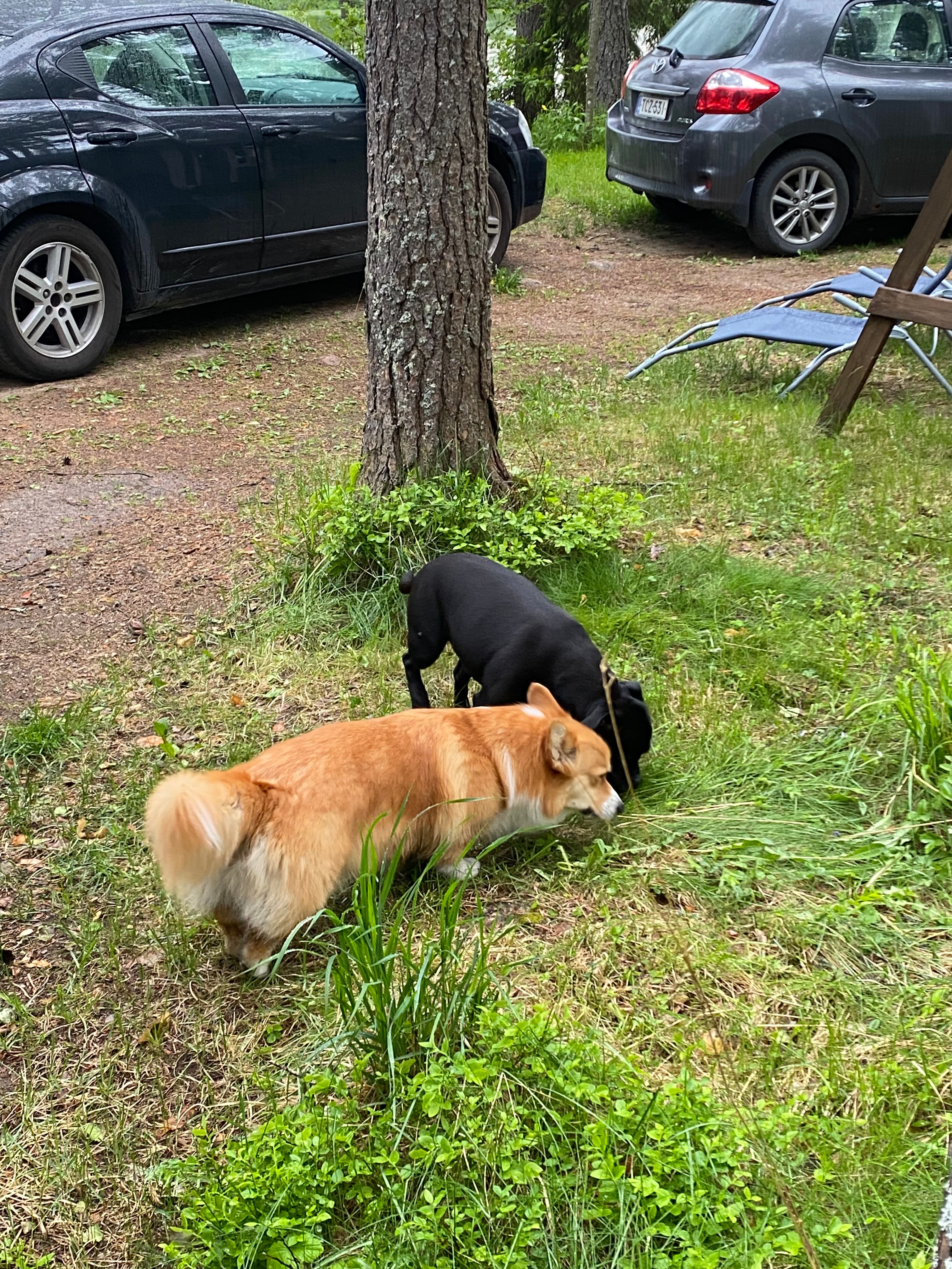 image-20