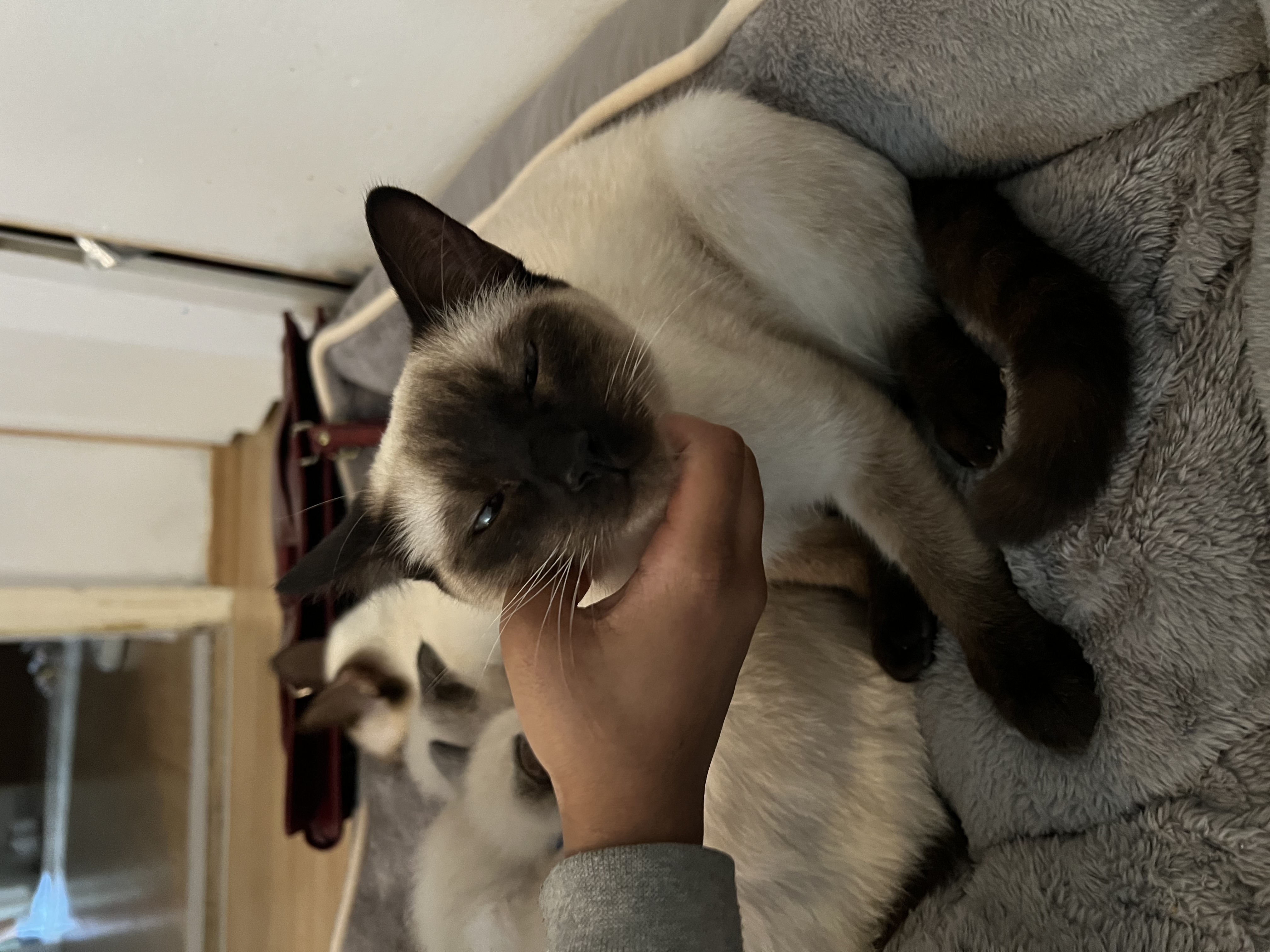 image-5