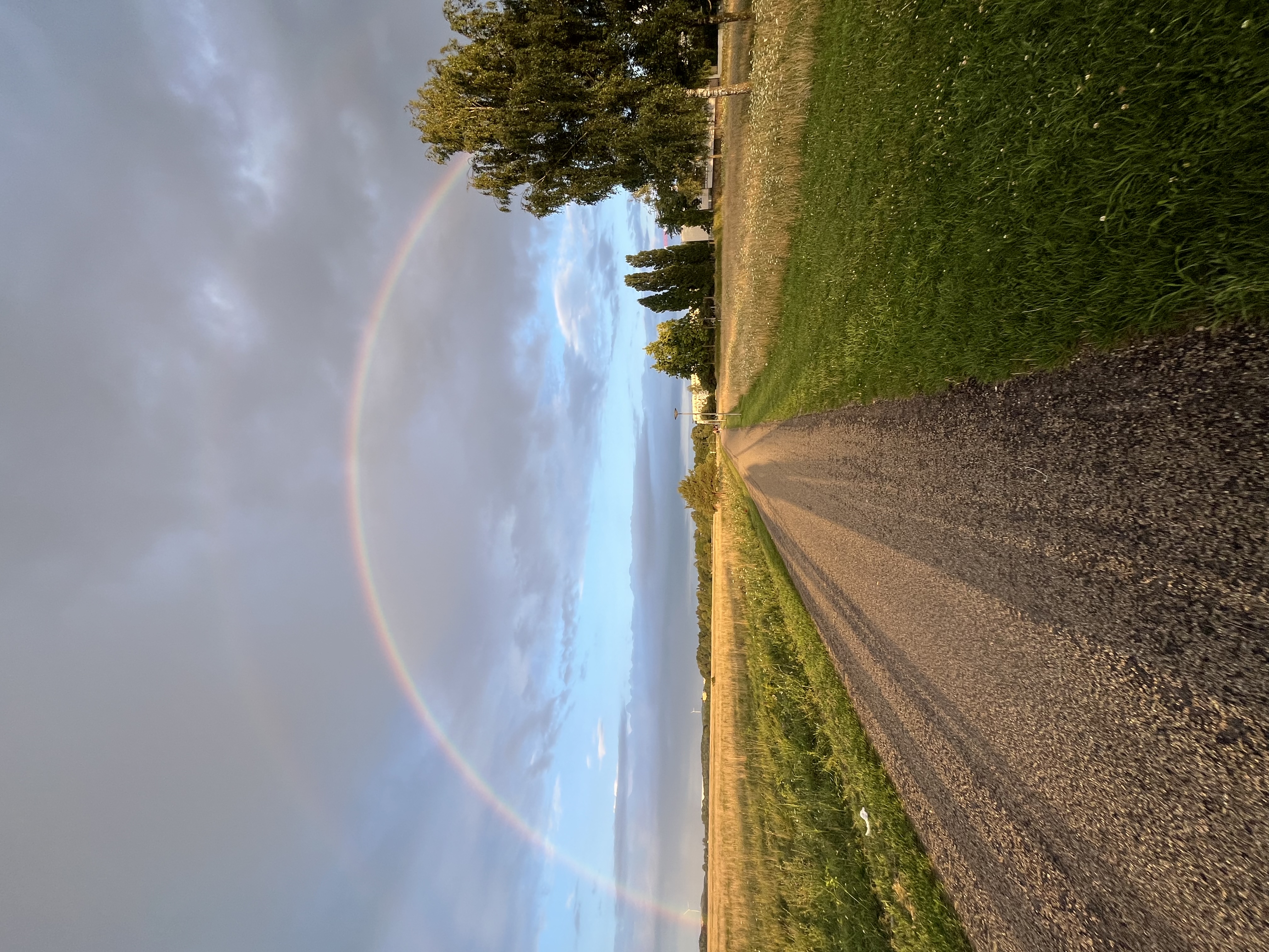 image-16