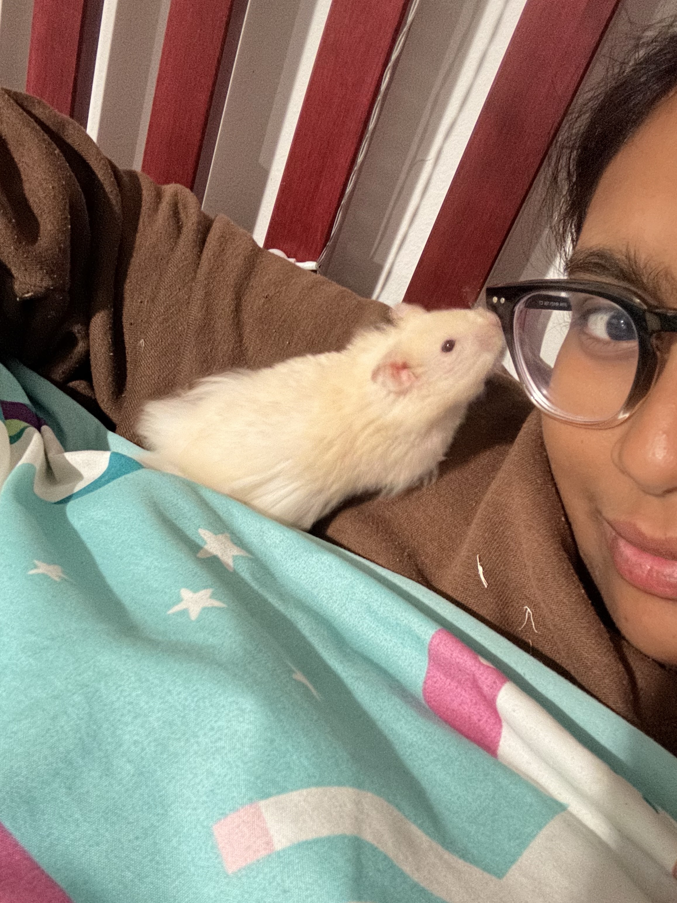 image-4