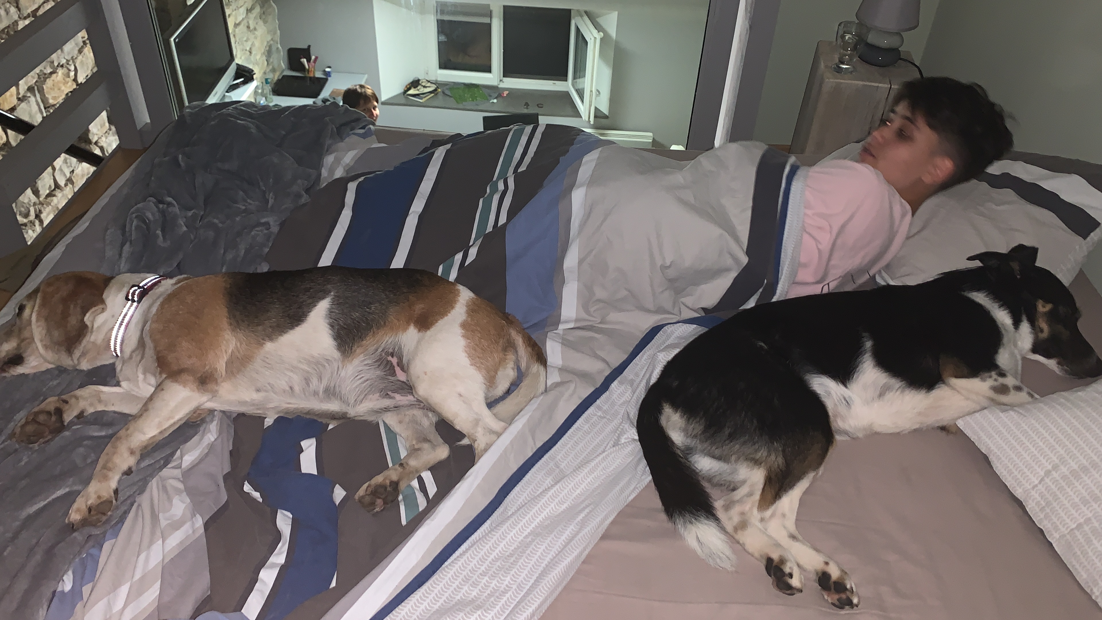 image-4
