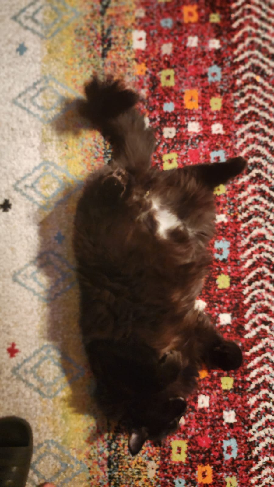image-9