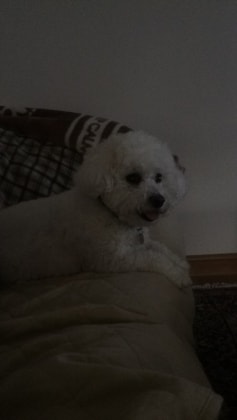 image-8
