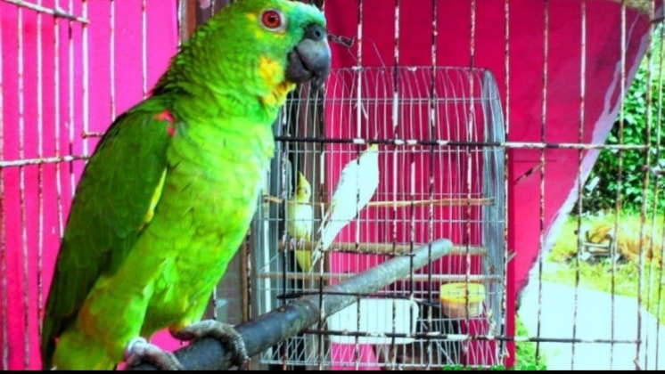 image-58