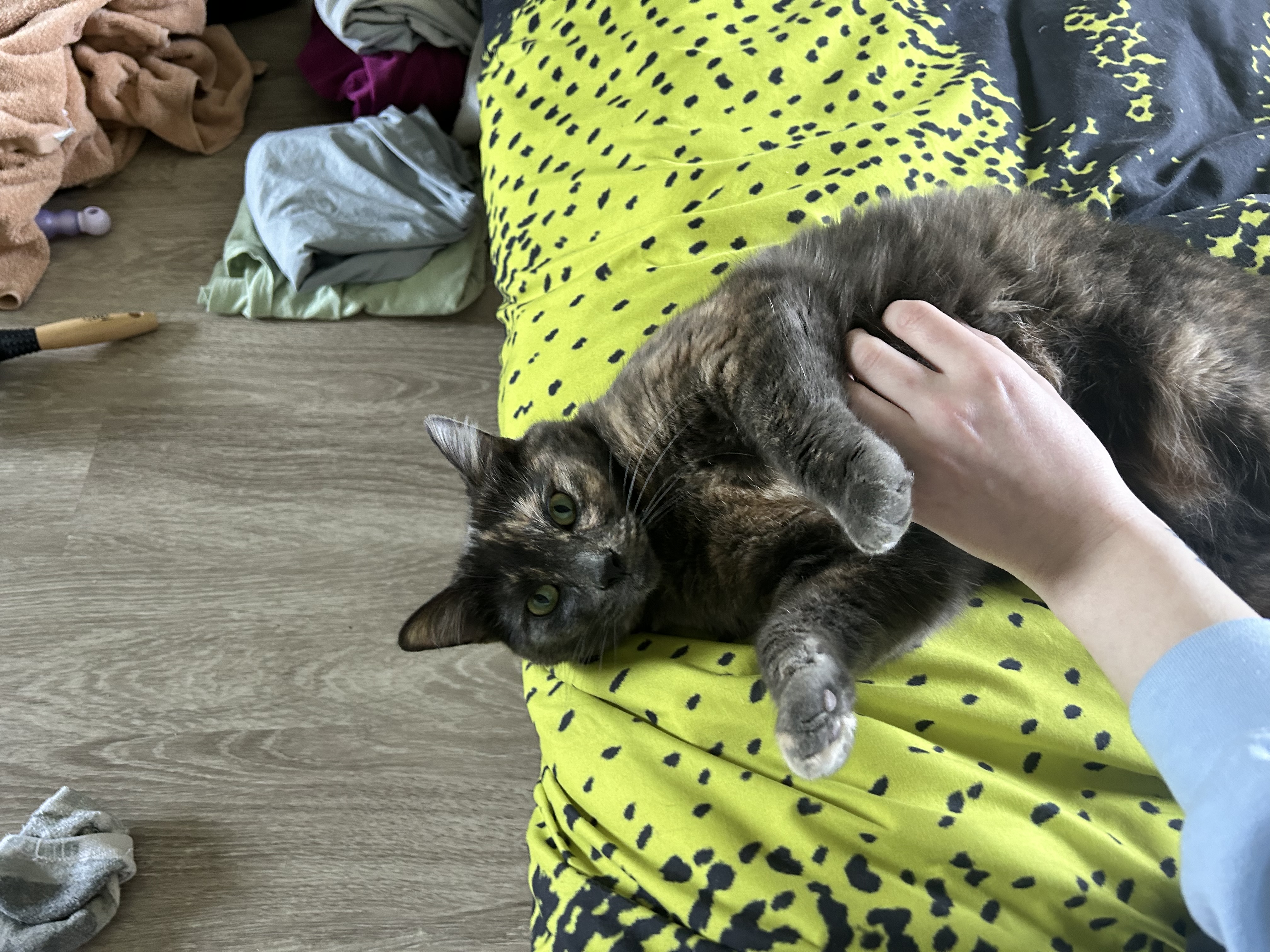 image-9