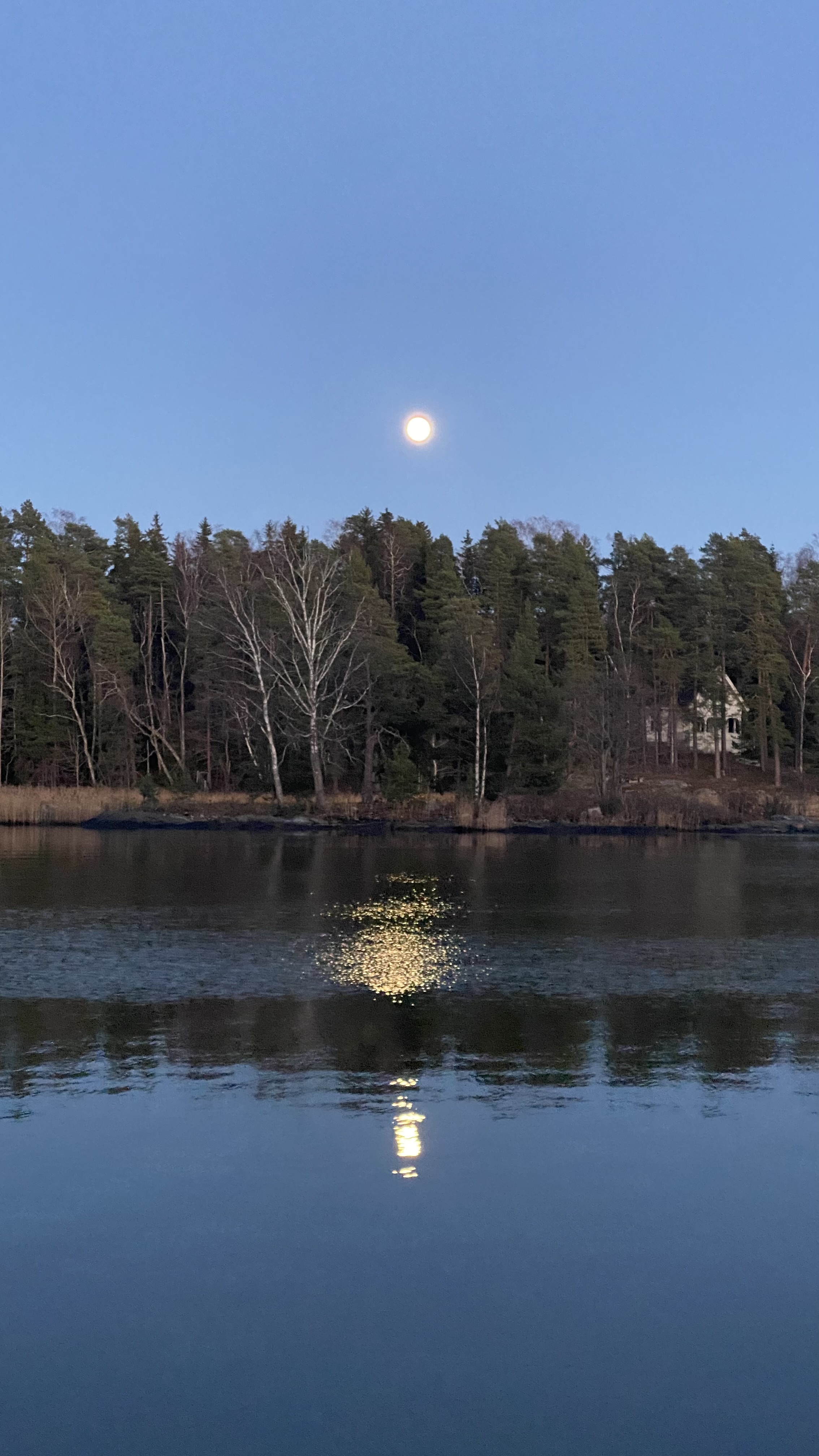 image-33